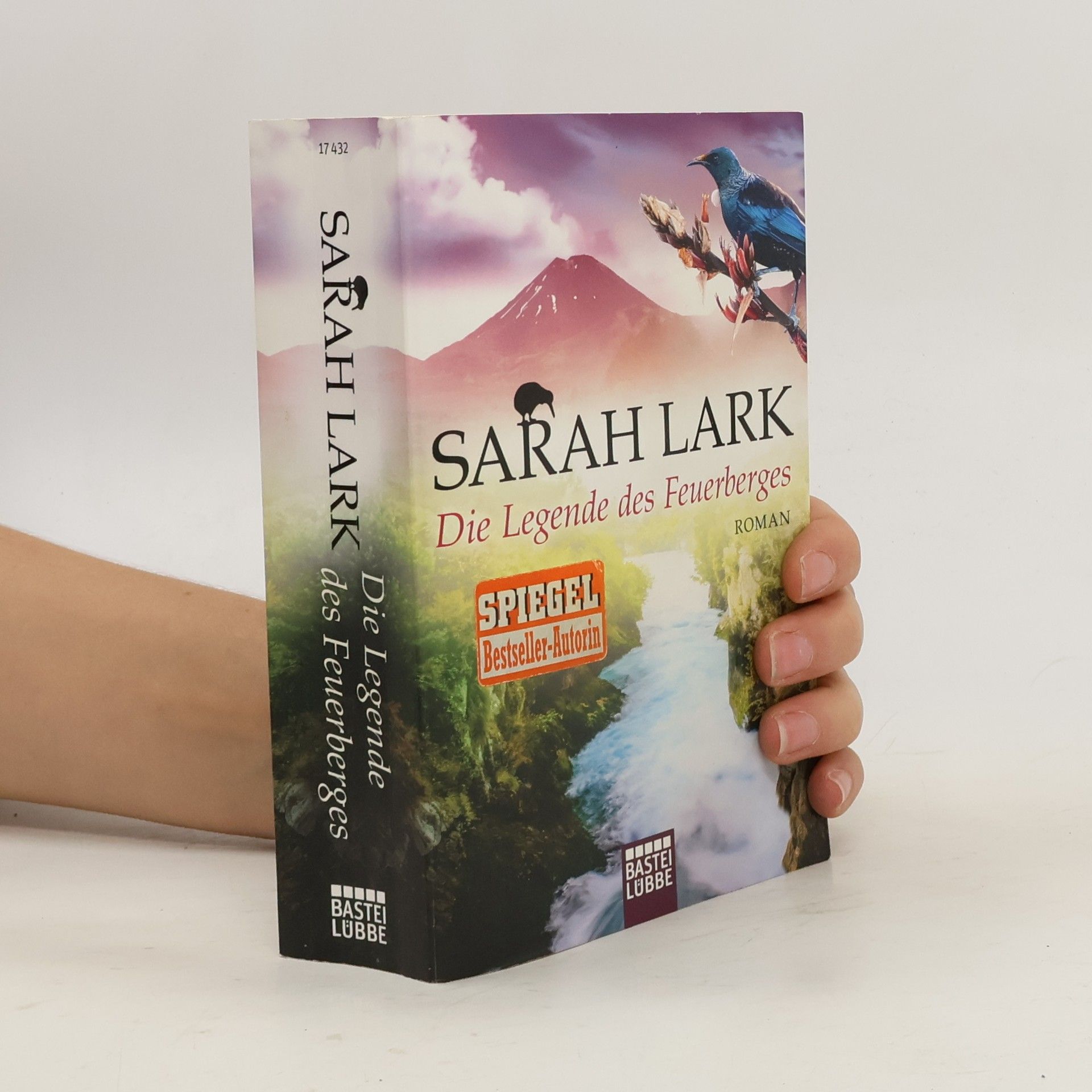 Christiane Gohl Die Legende des Feuerberges