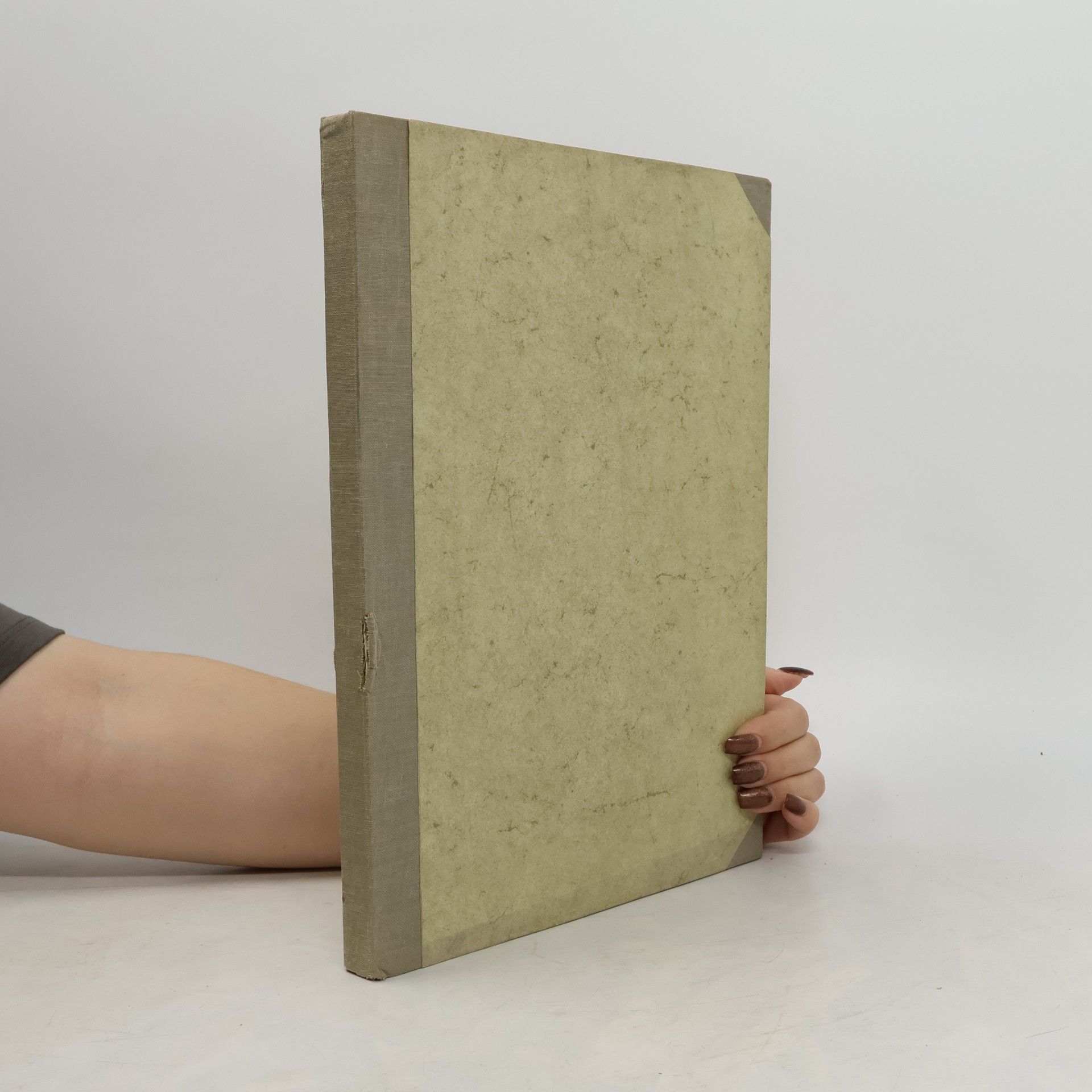 Autores varios Das Ruhrgebiet