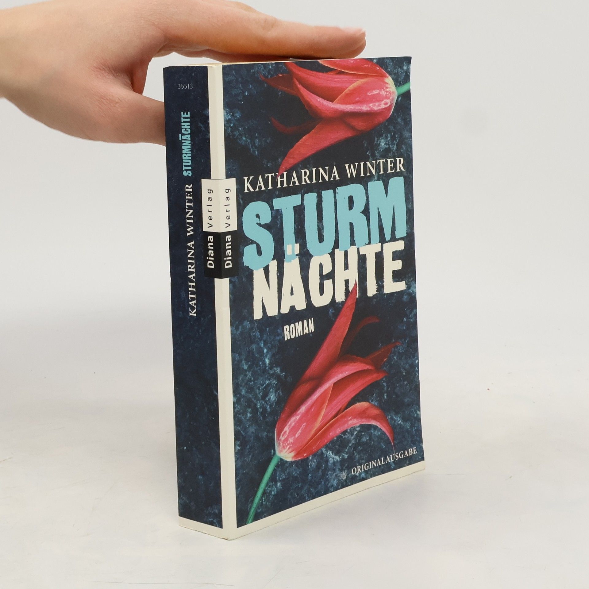 Katharina Winter Sturmnächte. Roman