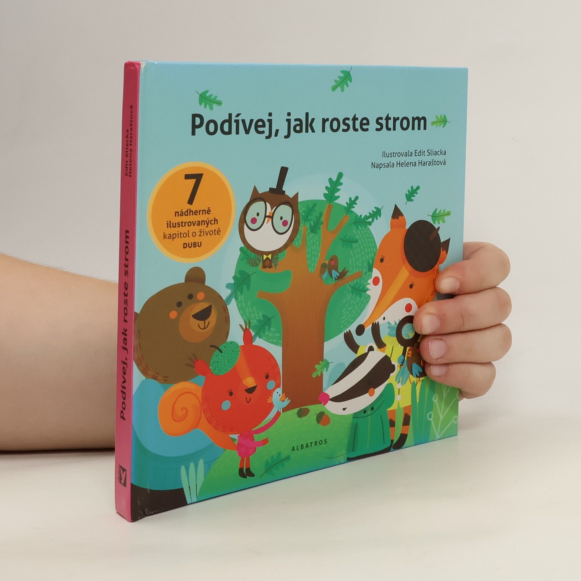 Podívej, jak roste strom : 7 nádherně ilustrovaných kapitol o životě dubu