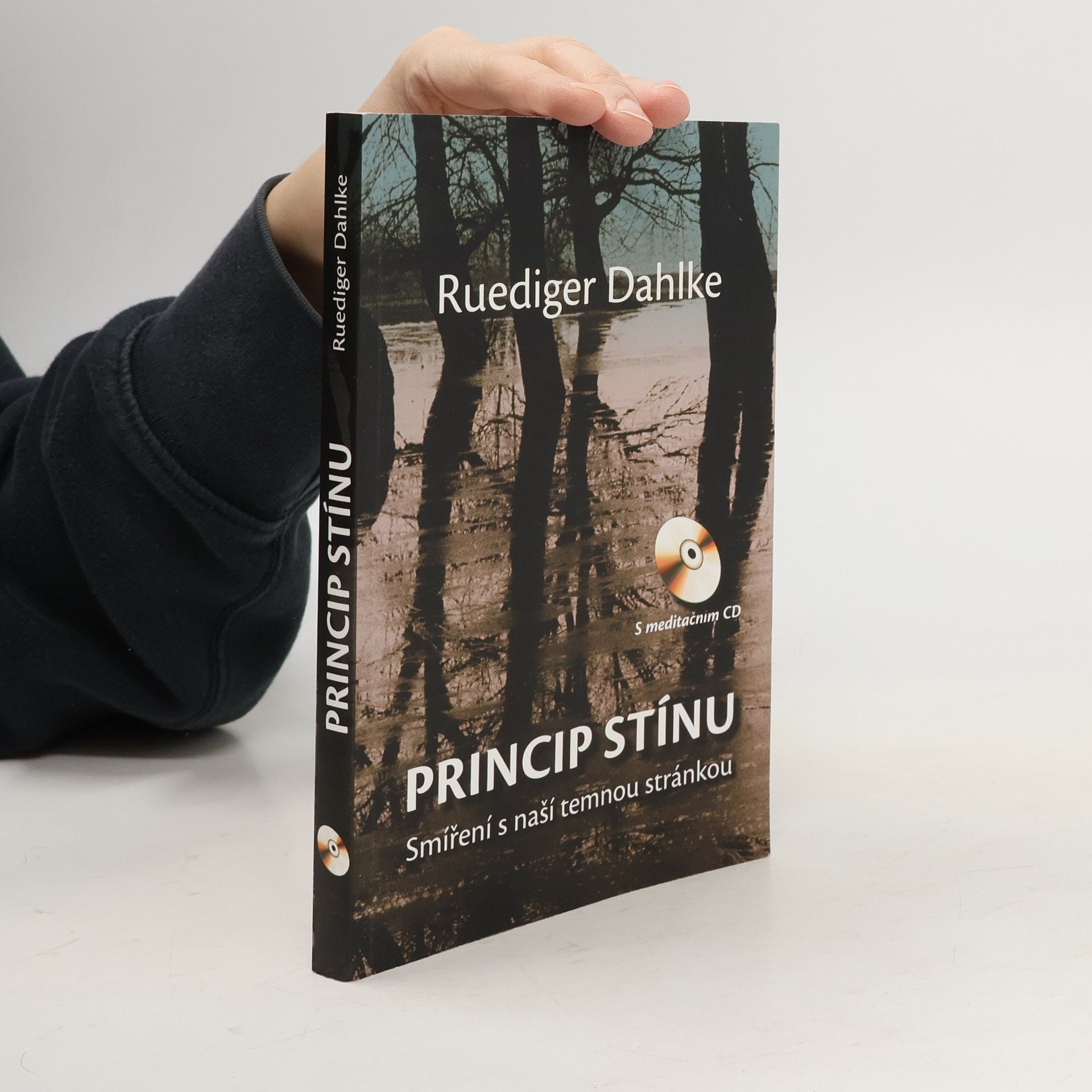 Princip stínu: Smíření s naší temnou stránkou