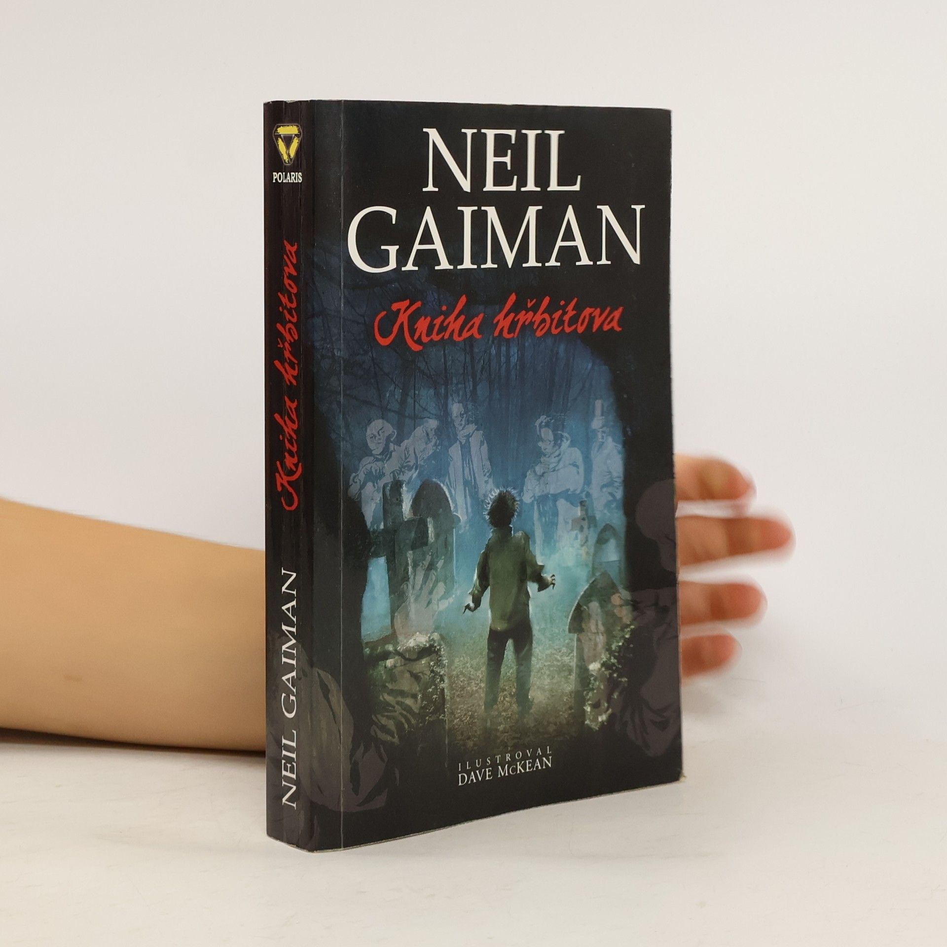 Neil Gaiman Kniha hřbitova