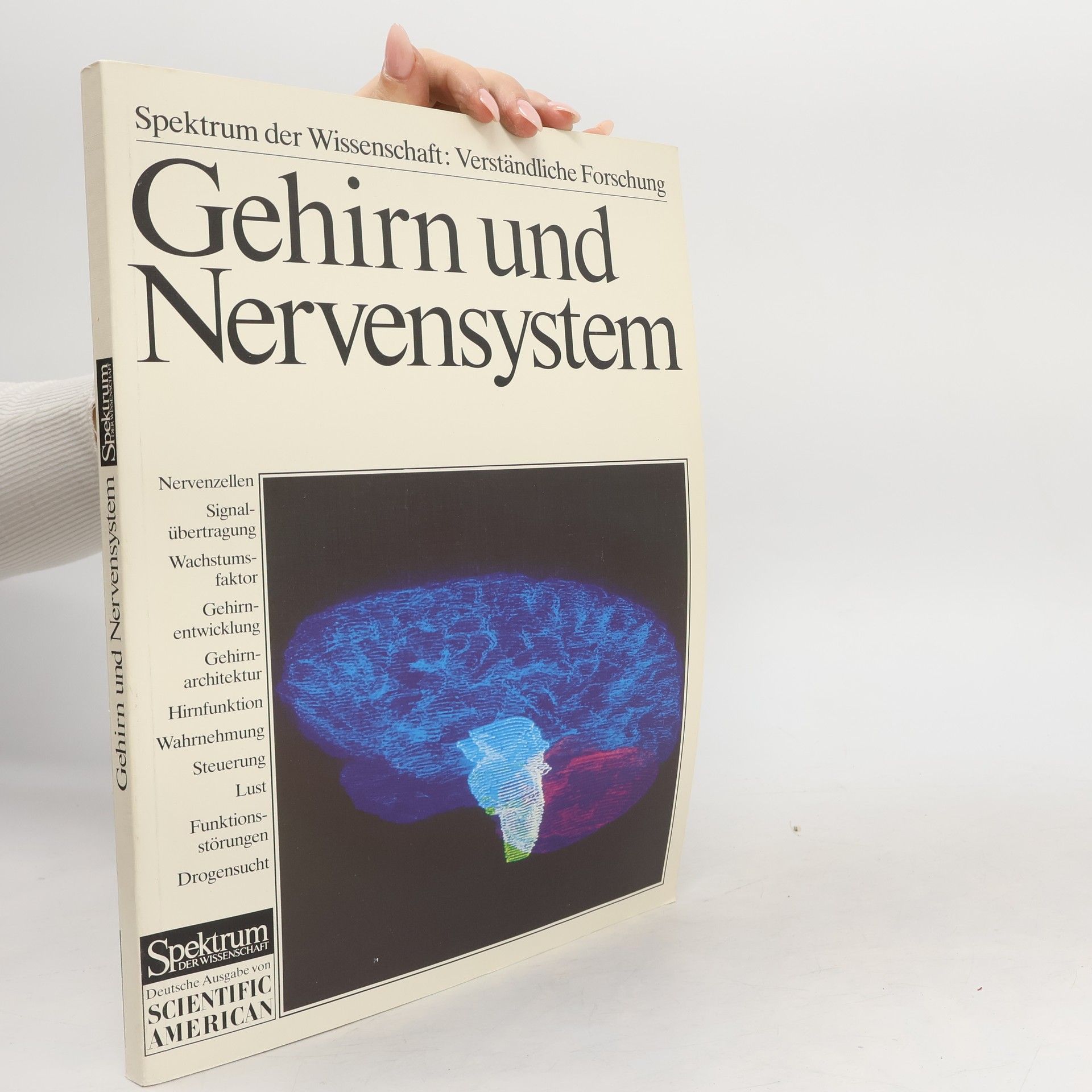Collectif d'auteurs Gehirn und Nervensystem