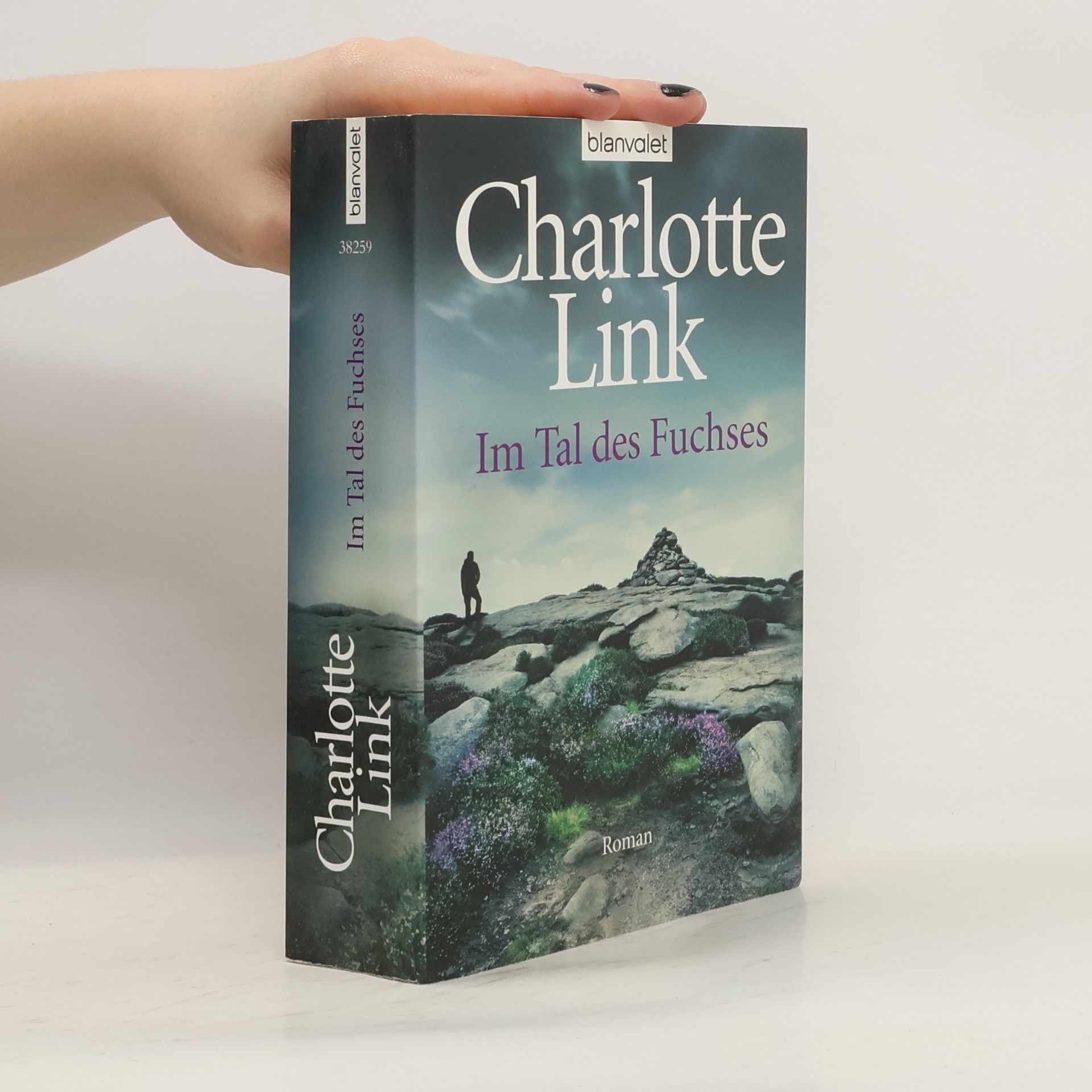 Charlotte Link Im Tal des Fuchses