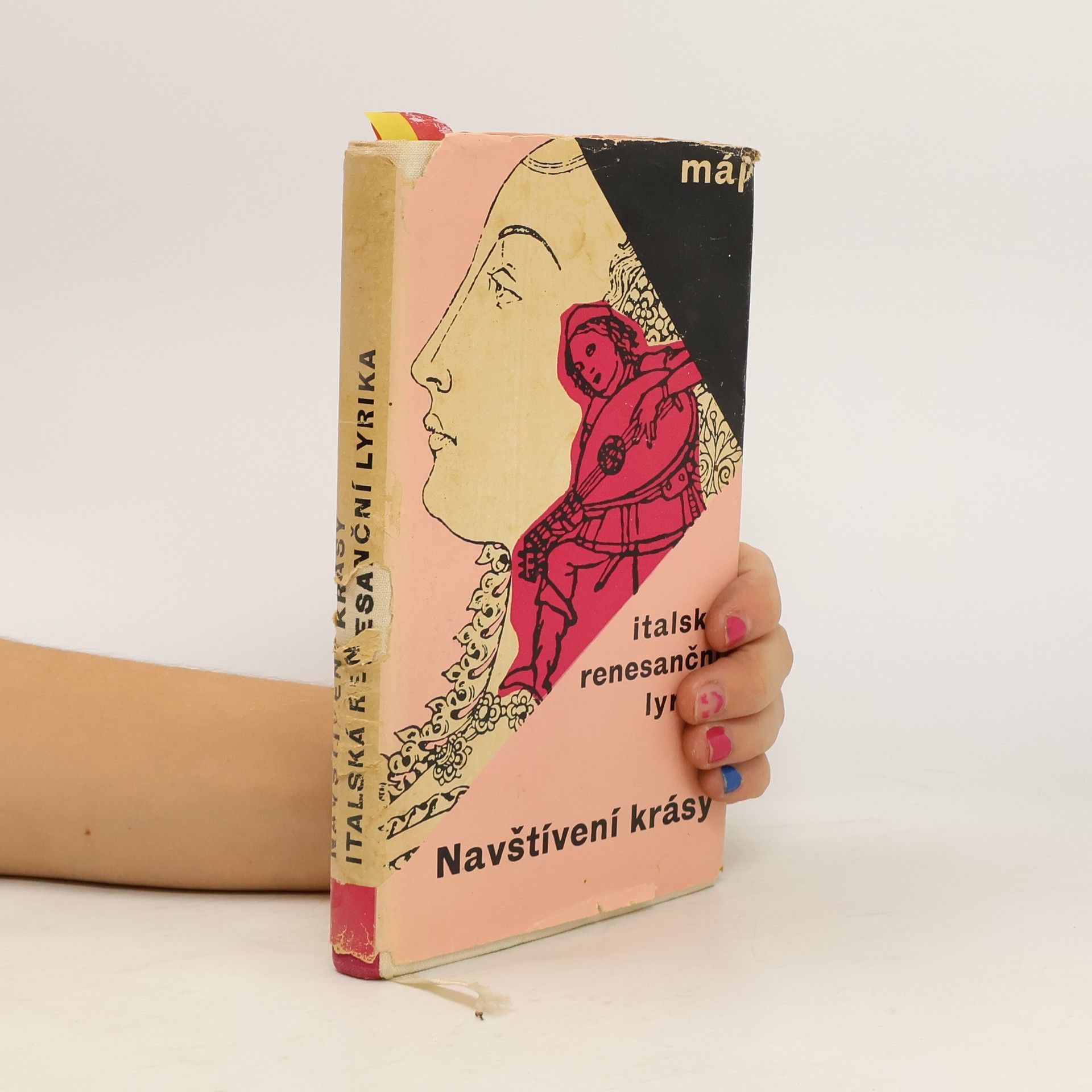 Jan Vladislav Navštívení krásy. Italská renesanční lyrika