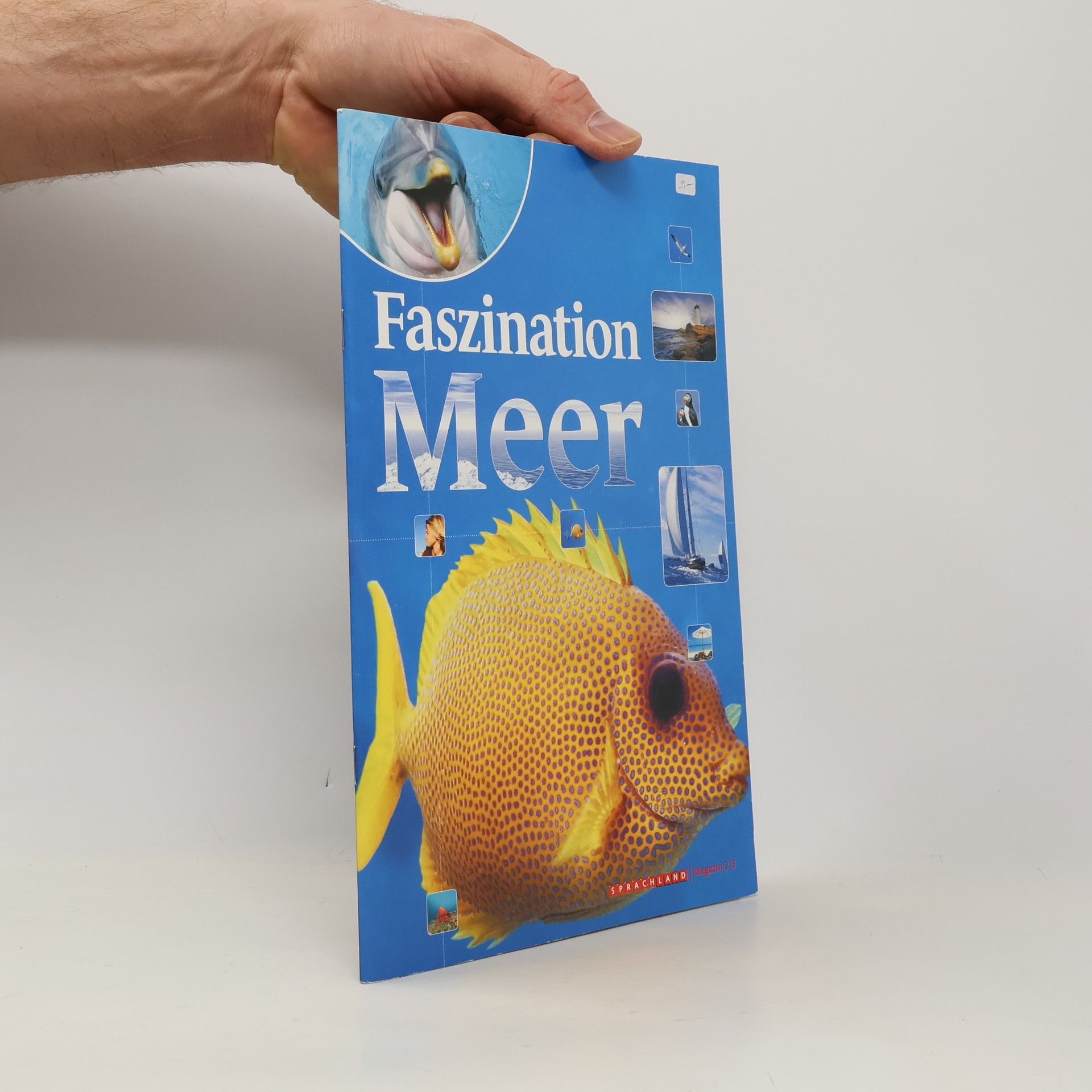 Autorenkollektiv Faszination Meer