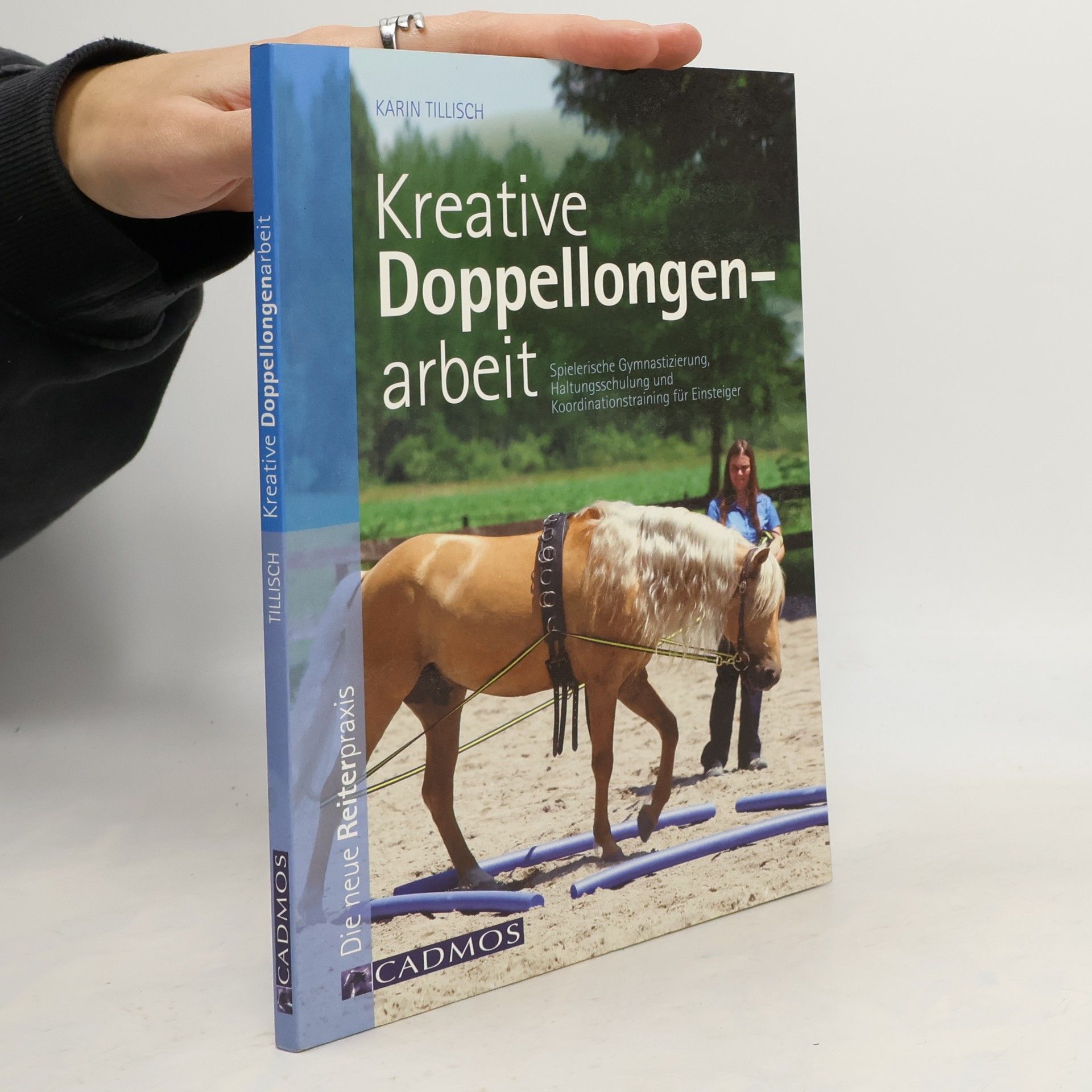 Karin Tillisch Kreative Doppellongenarbeit