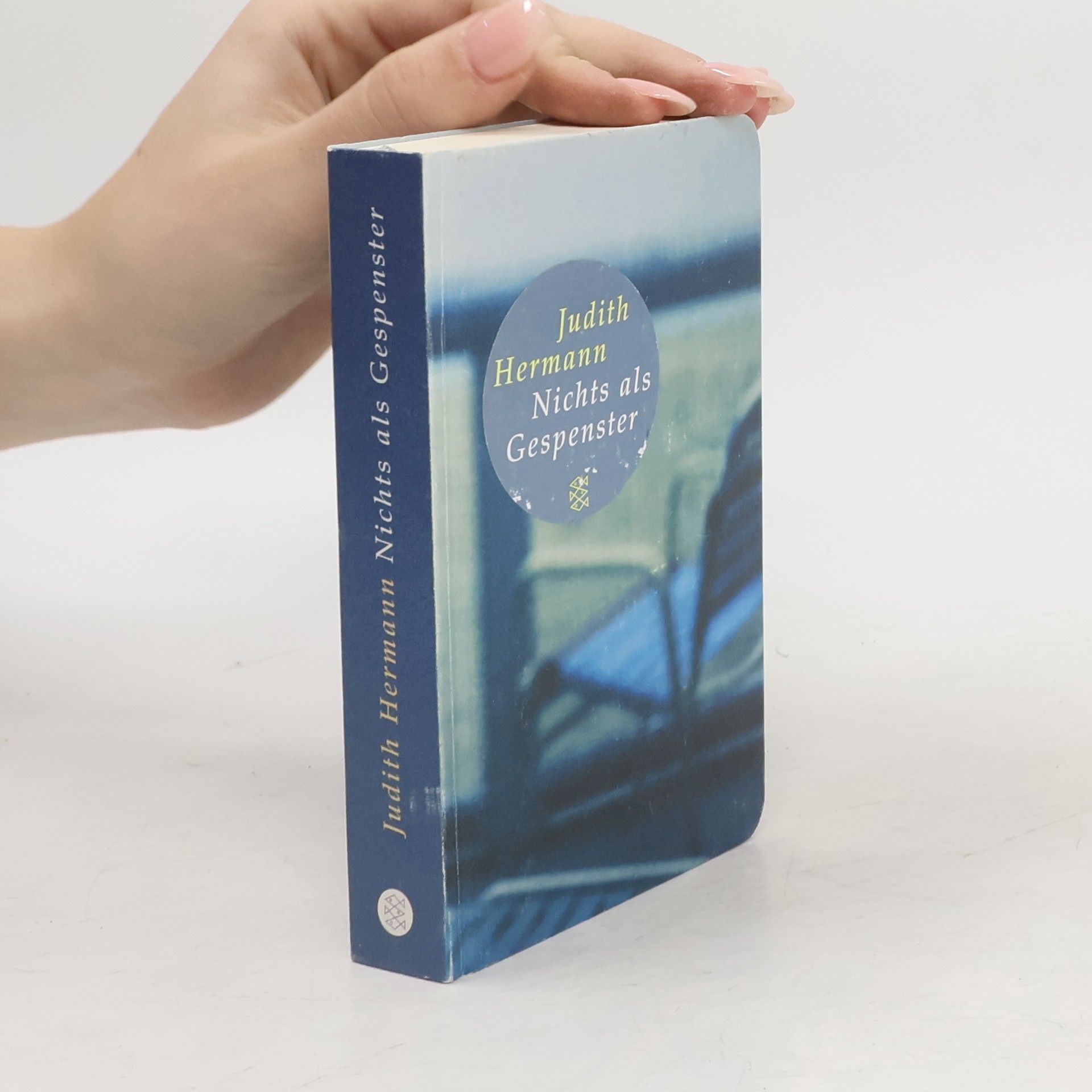 Judith Hermann Nichts als Gespenster