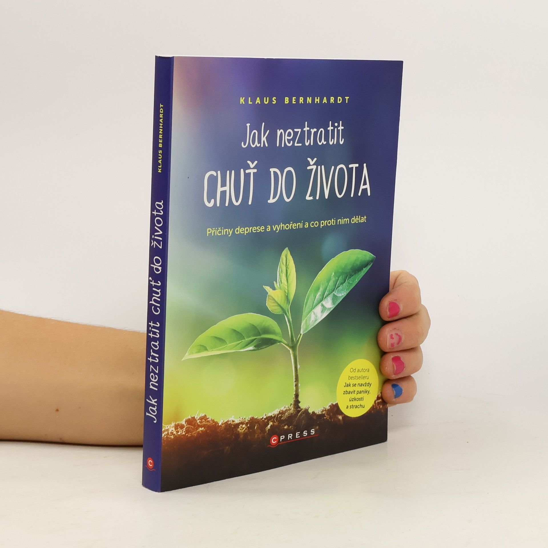 Klaus Bernhardt Jak neztratit chuť do života