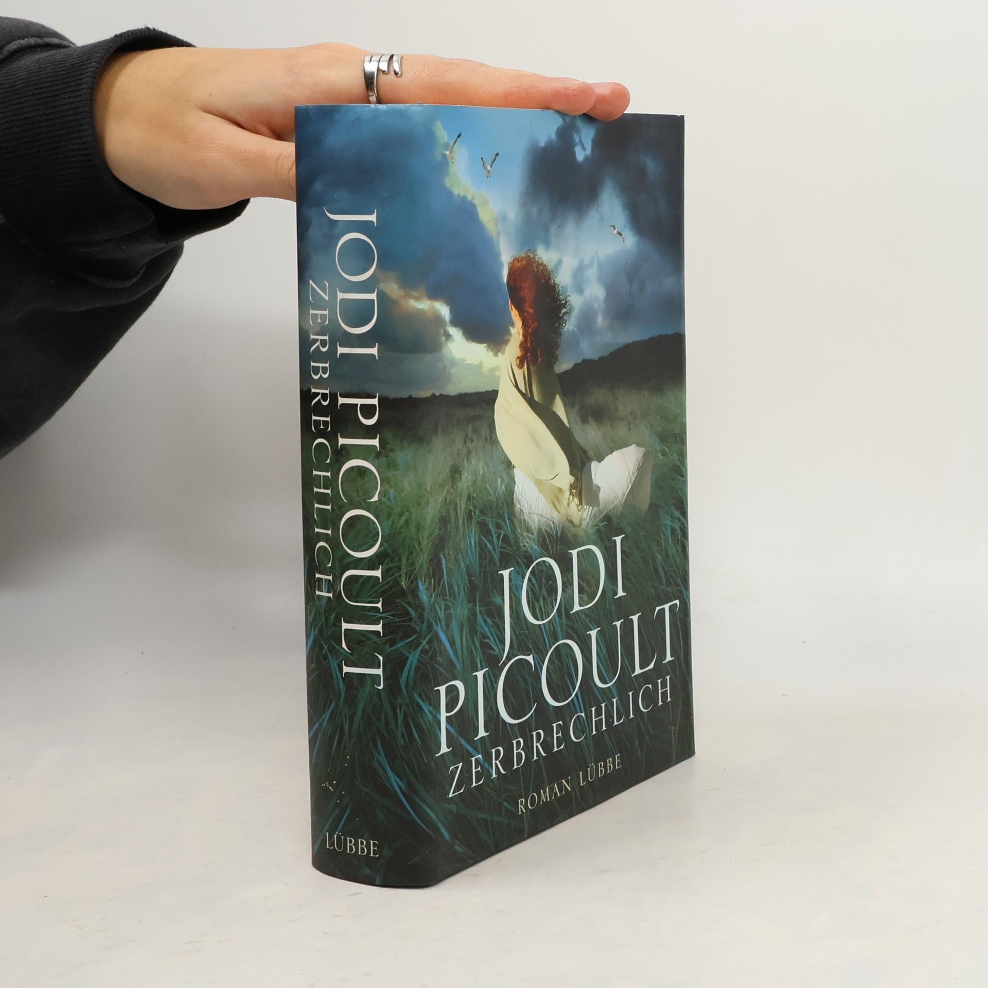 Jodi Picoult Zerbrechlich