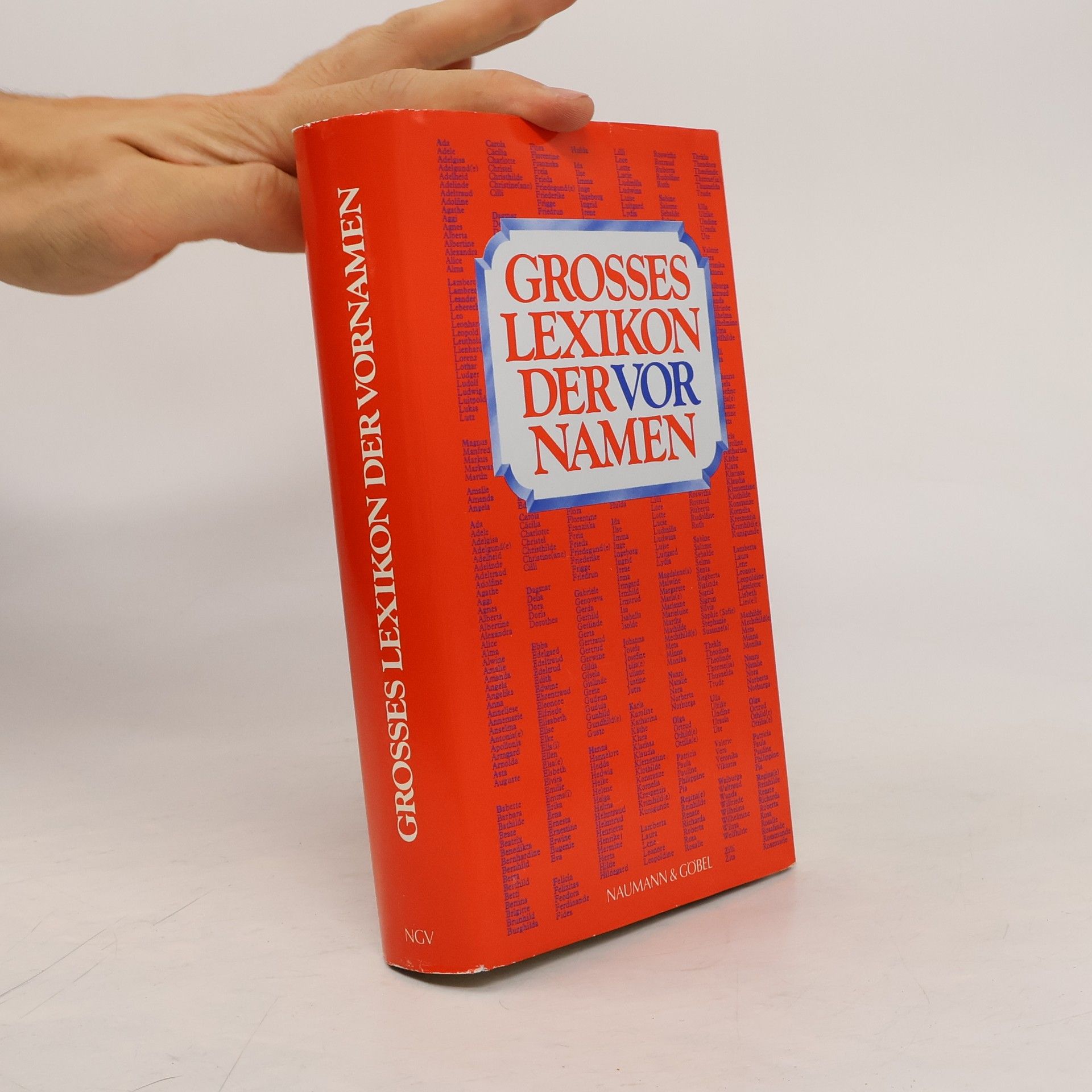 Autorenkollektiv Grosses Lexikon der vor Namen