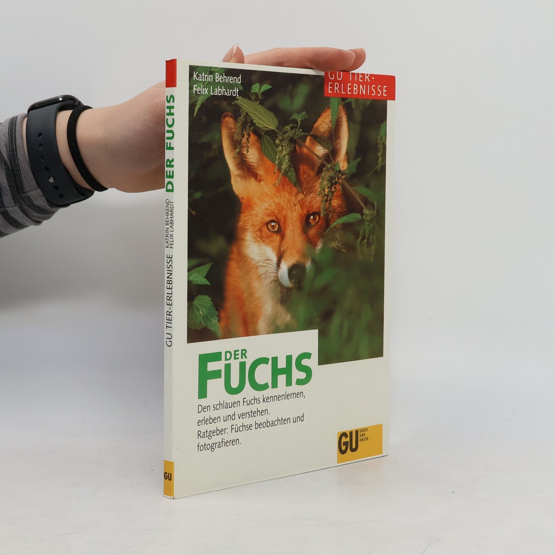 Felix Labhardt Der Fuchs