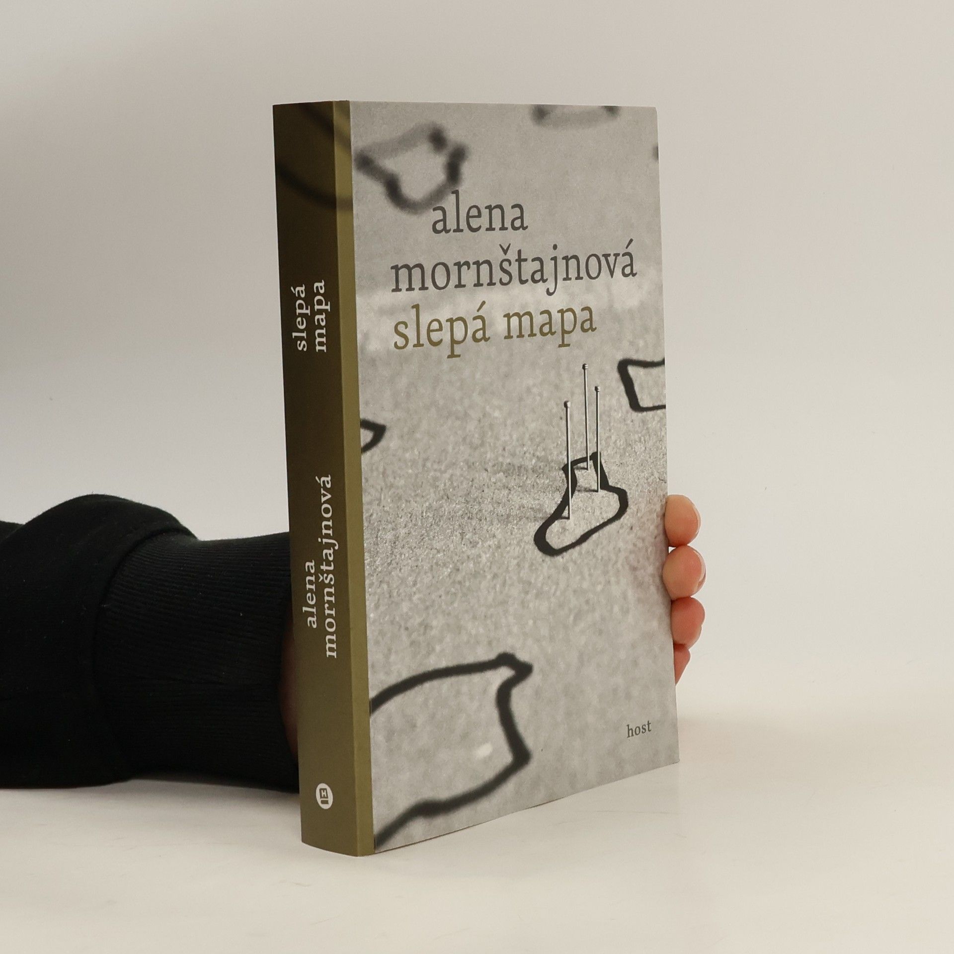 Alena Mornštajnová Slepá mapa