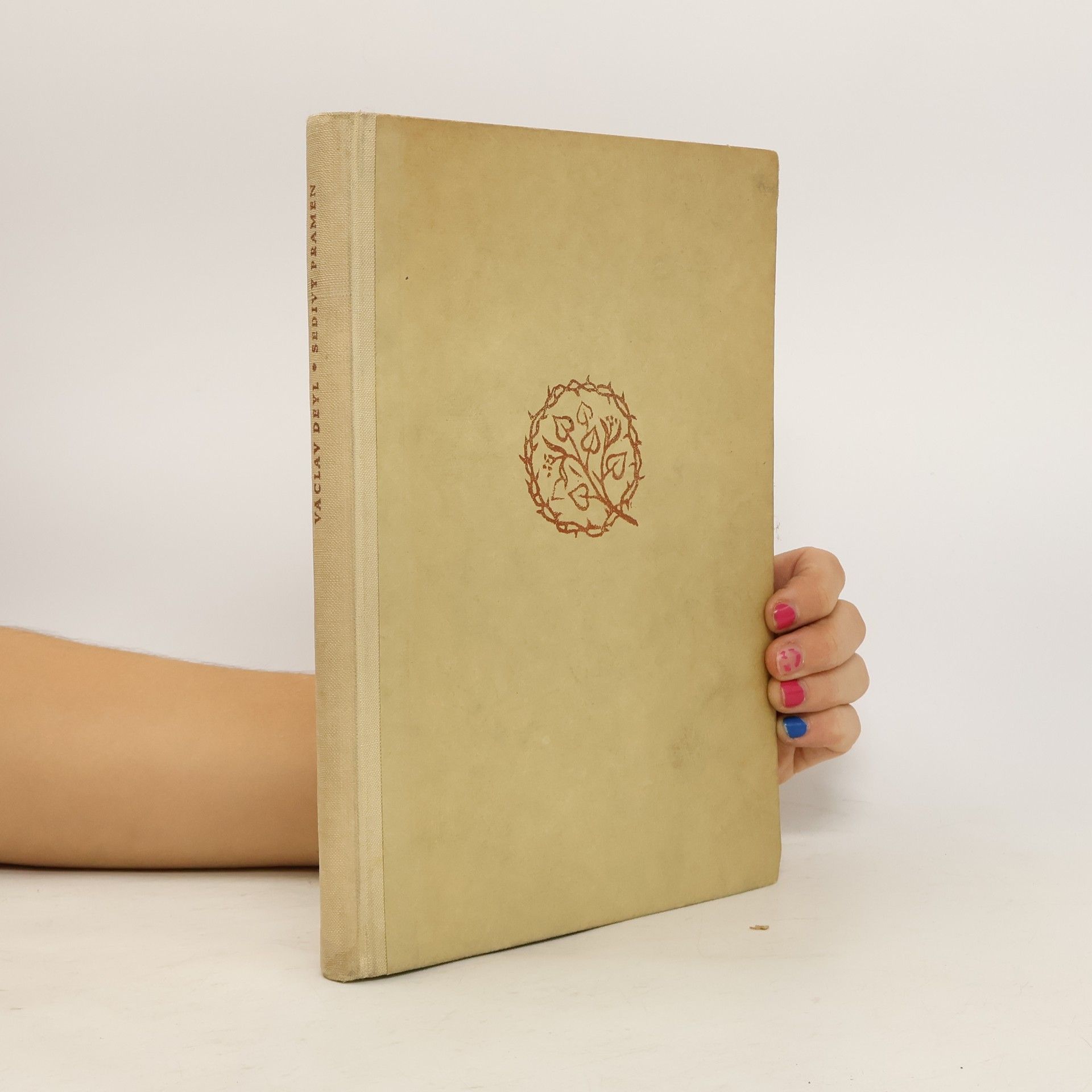 Václav Deyl Šedivý pramen