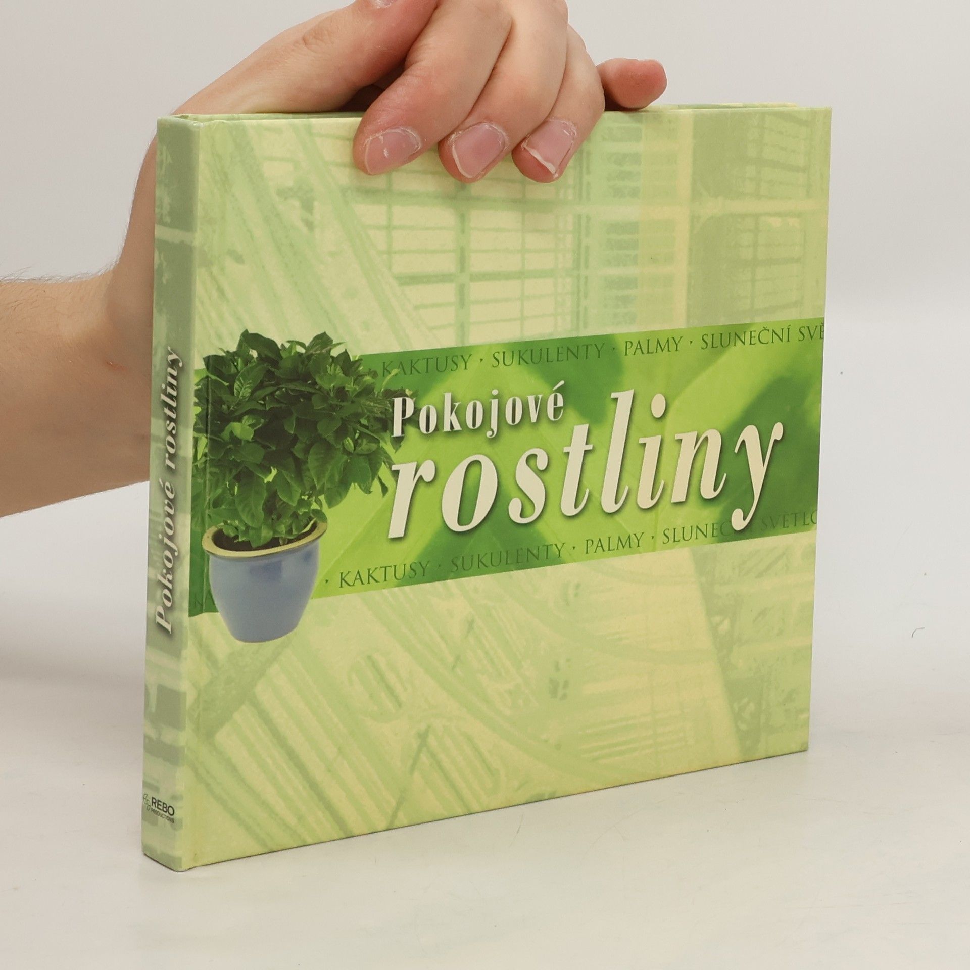 Karen Kenny Pokojové rostliny