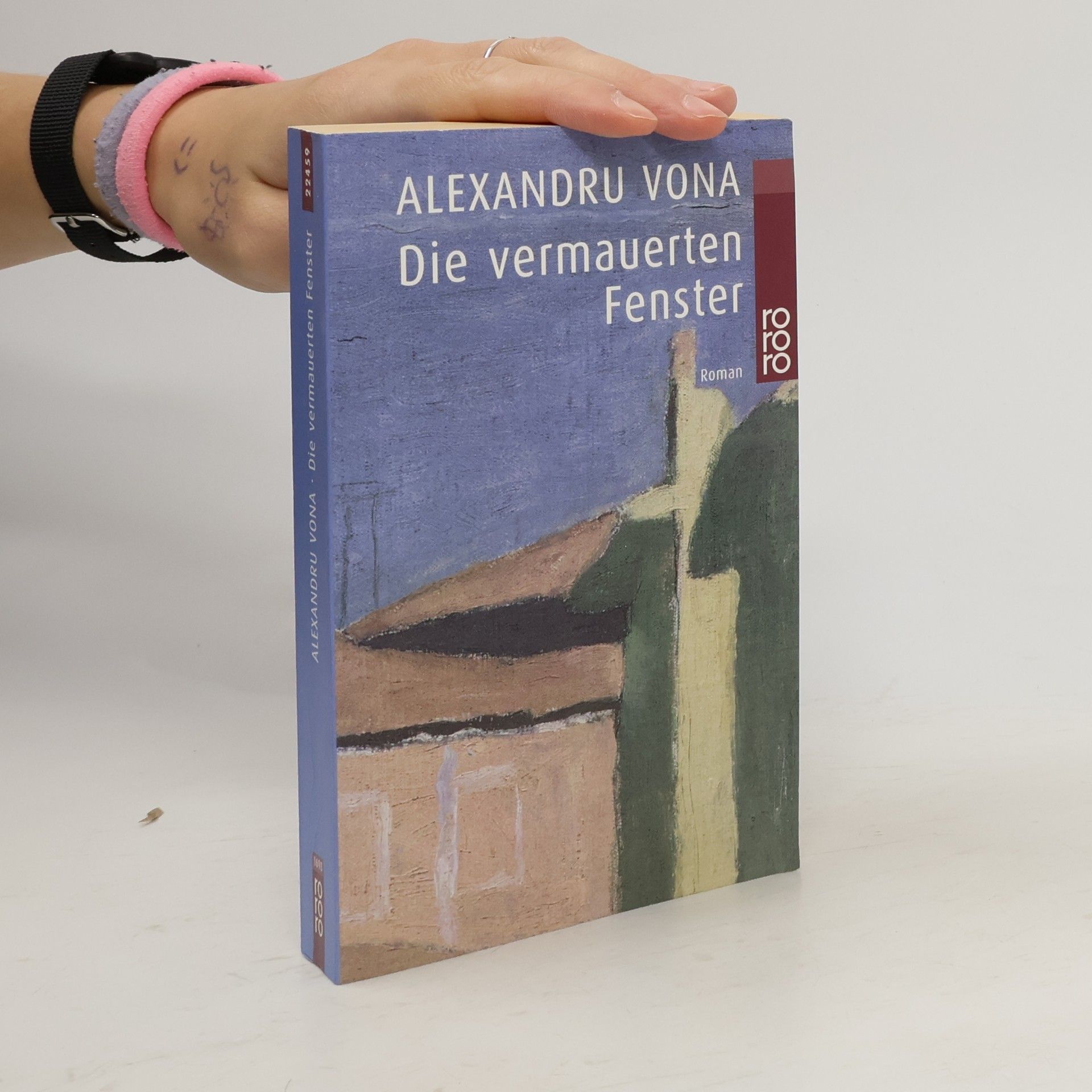 Alexandru Vona Die vermauerten Fenster