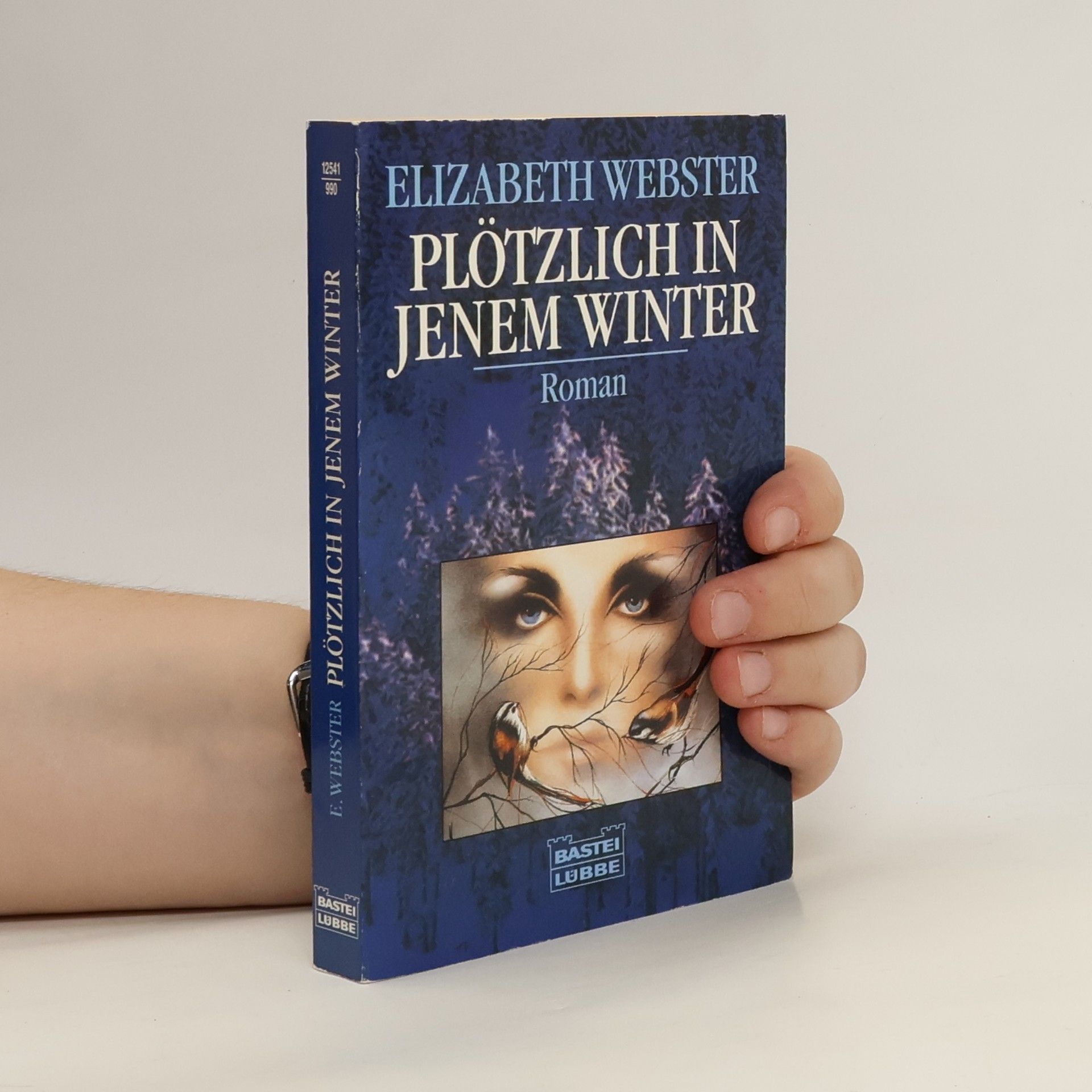 Elizabeth Webster Plötzlich in jenem Winter.