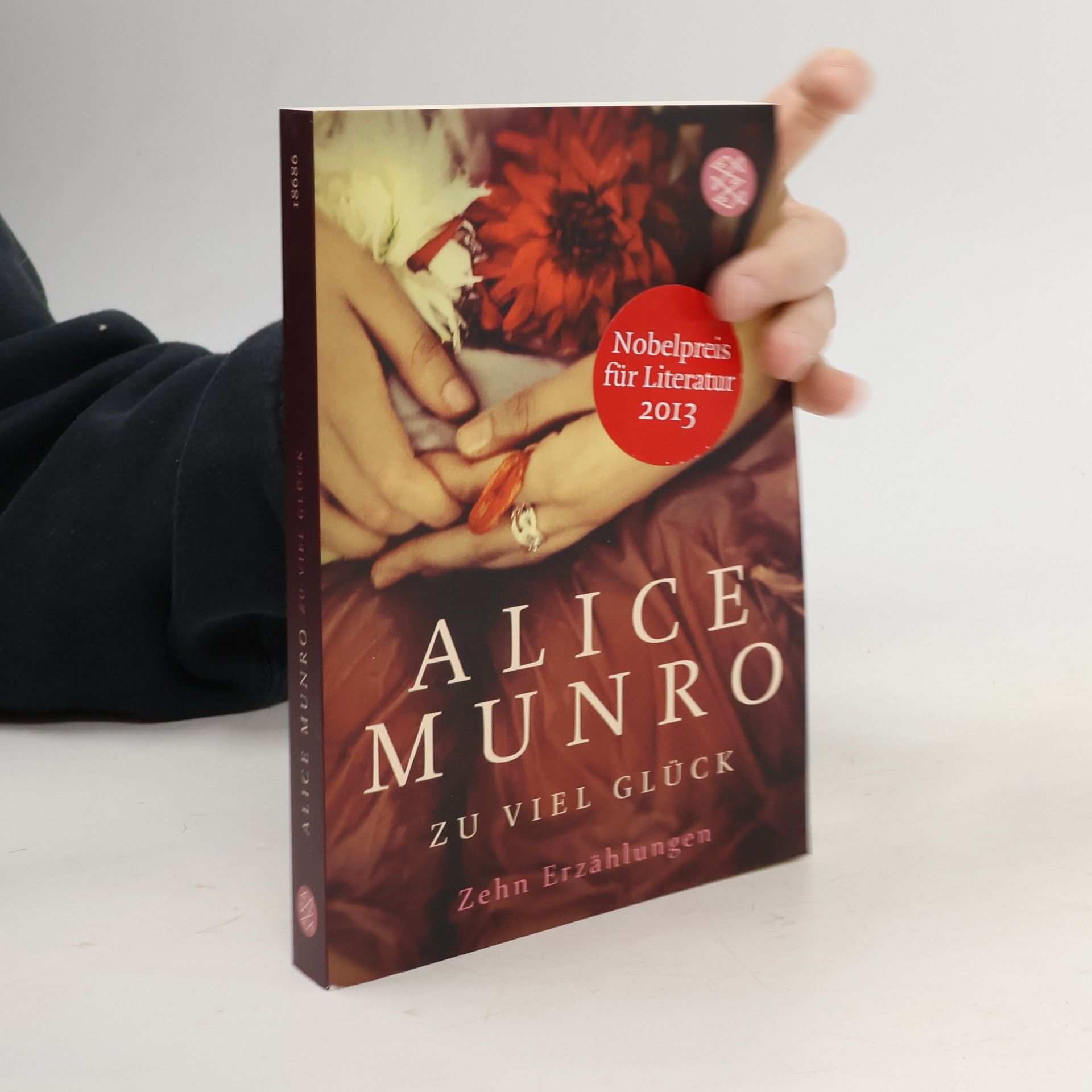Alice Munro Zu viel Glück. zehn erzählungen
