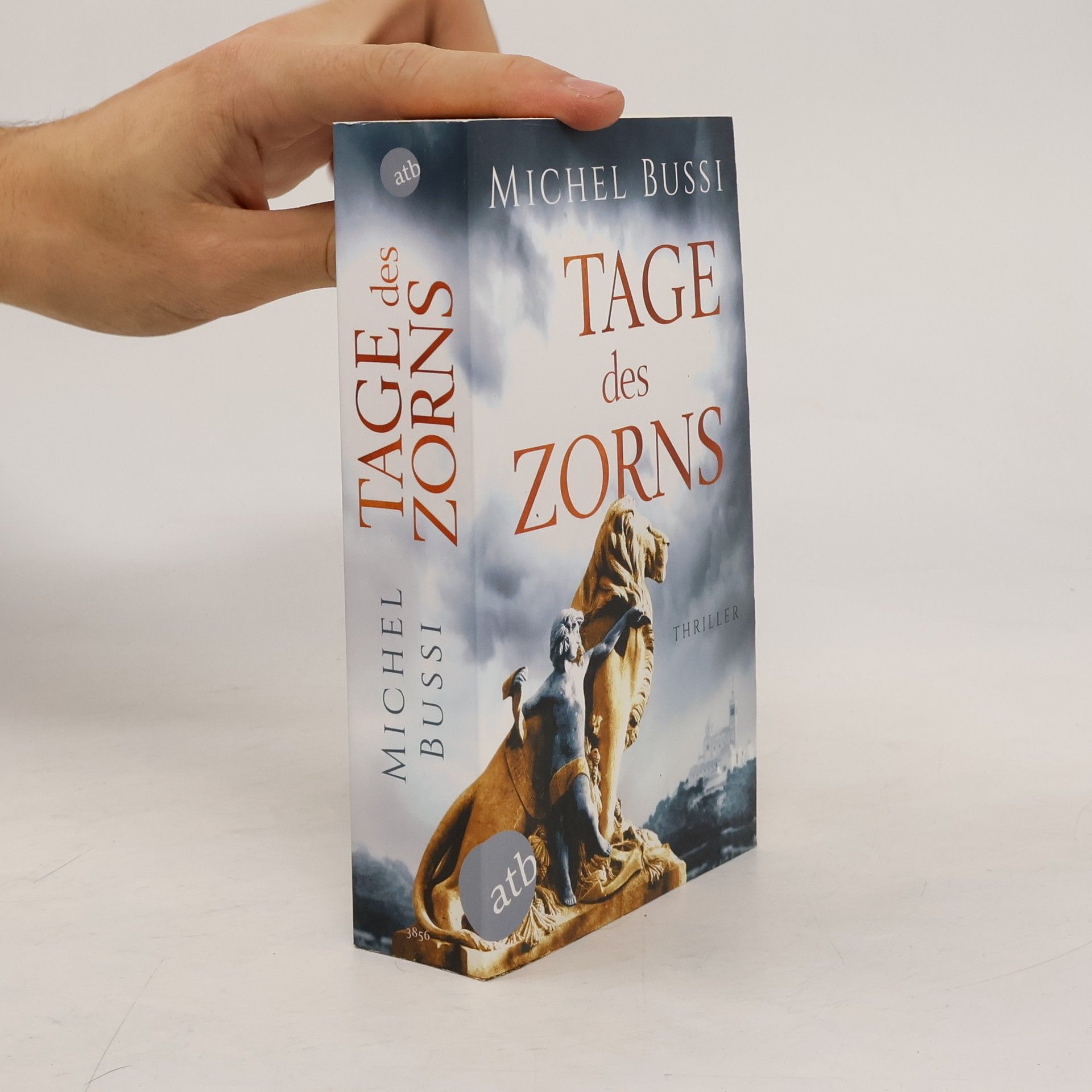 Michel Bussi Tage des Zorns