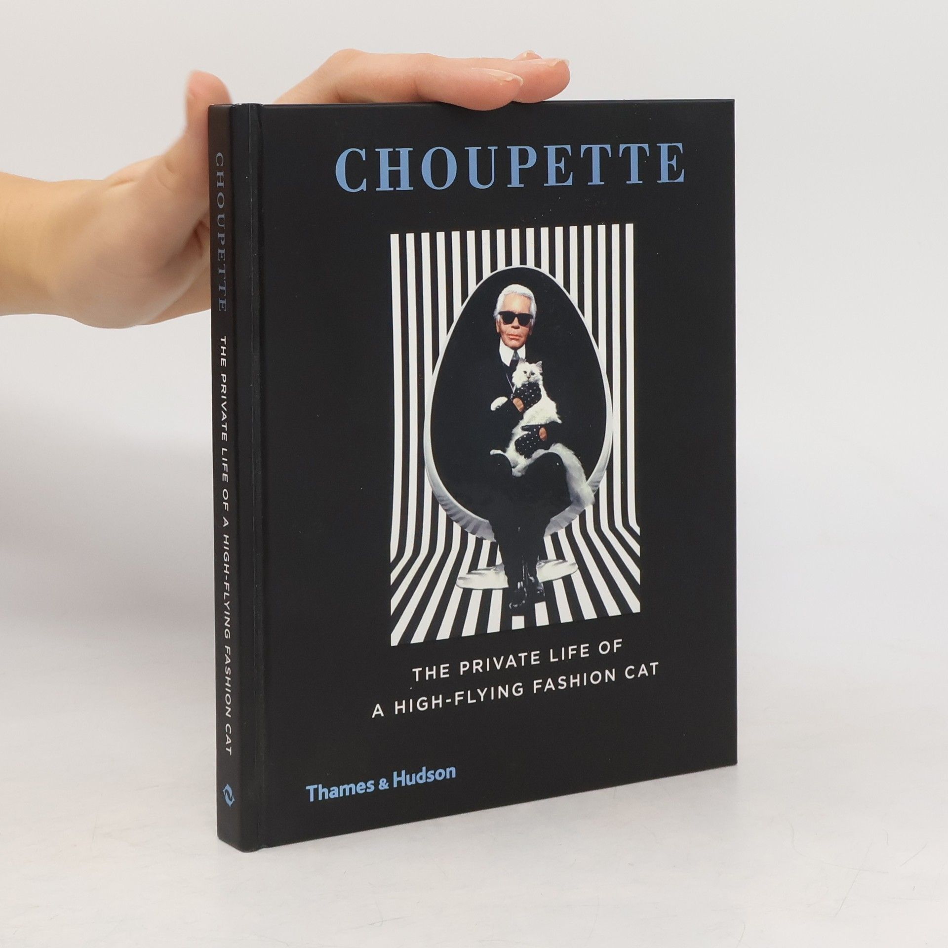 Jean-Christophe Napias Choupette