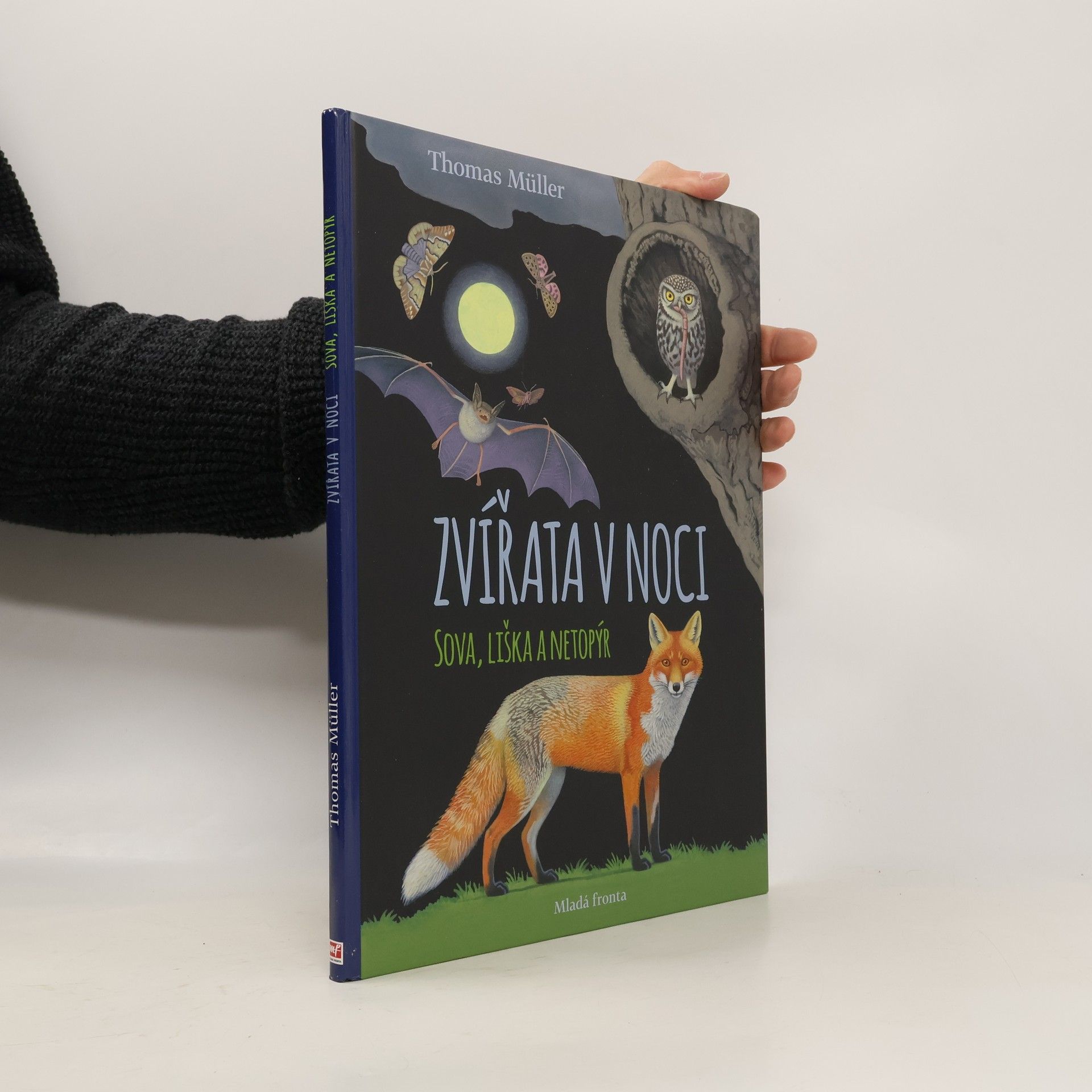 Thomas M. Müller Zvířata v noci. Sova, liška, netopýr