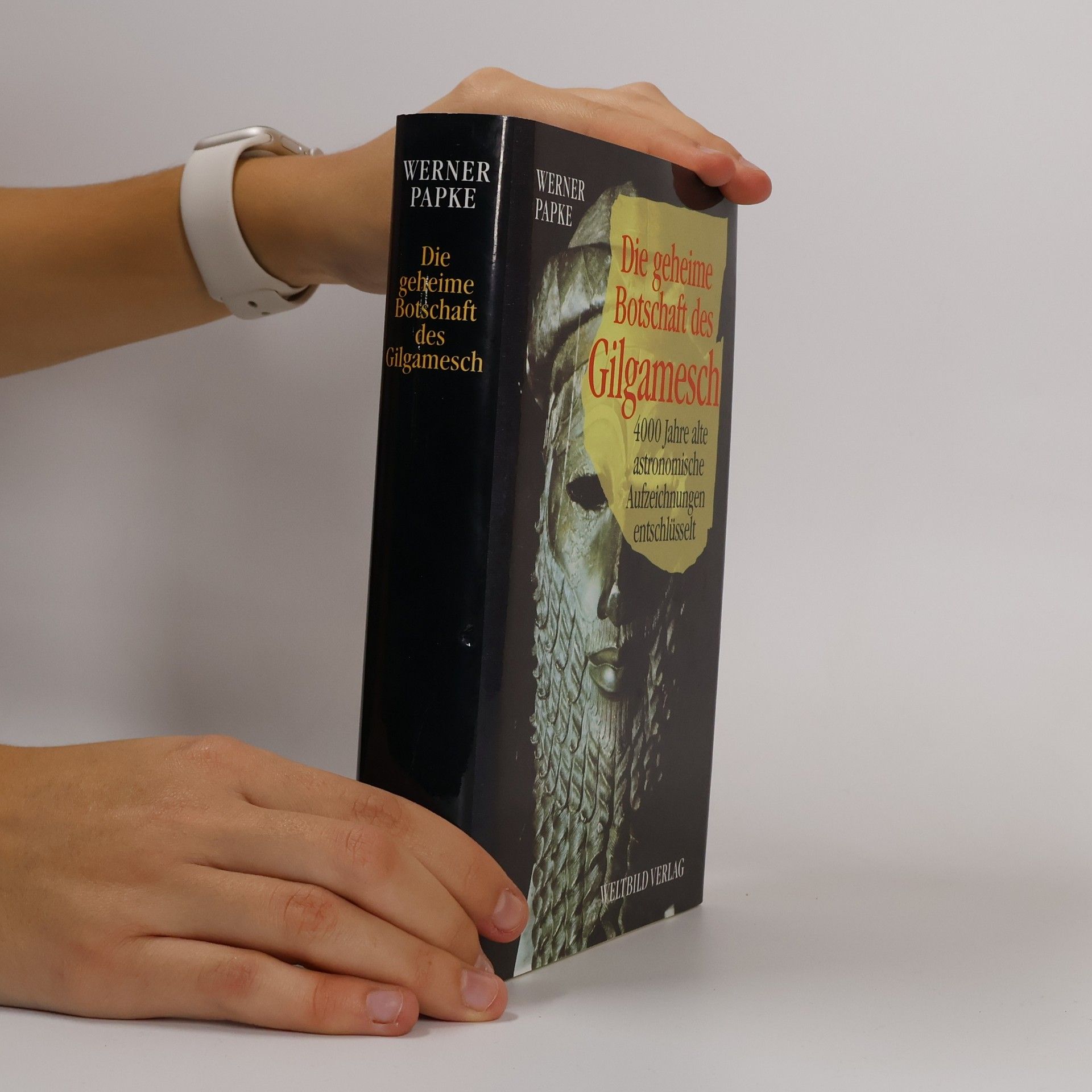 Die geheime Botschaft des Gilgamesch