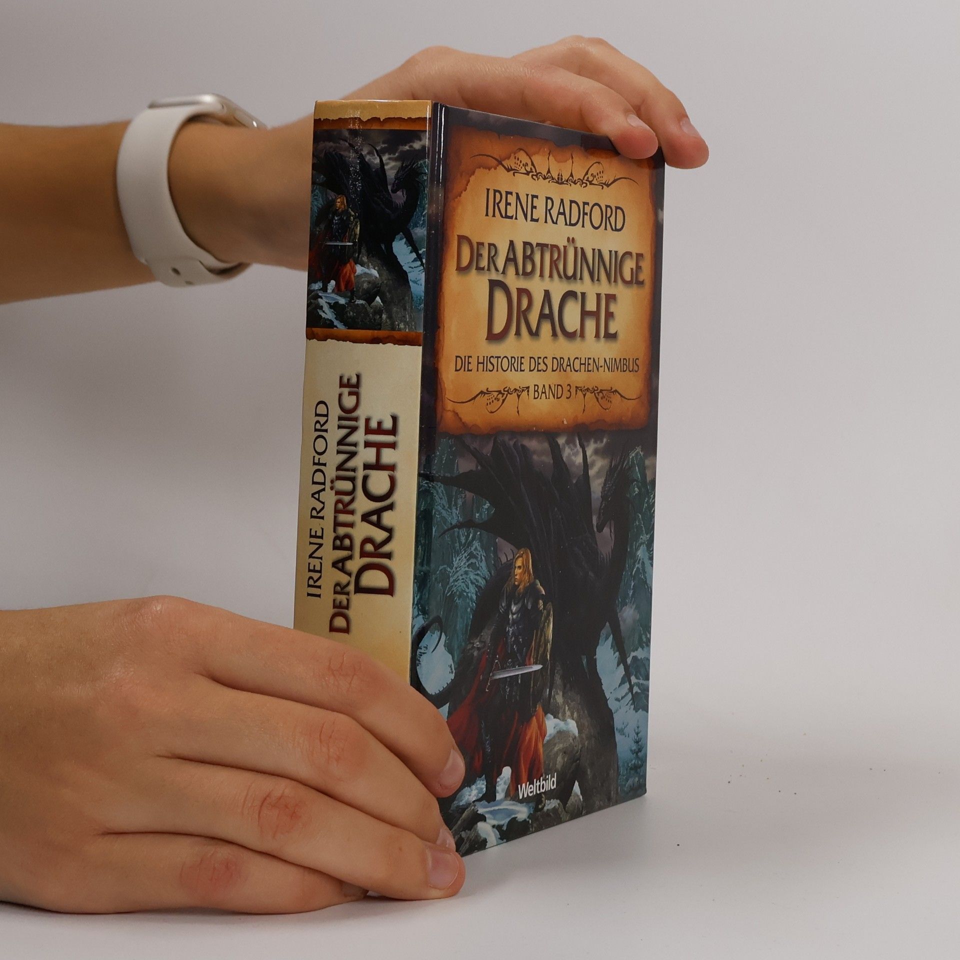 Irene Radford Der Historie des Drachen-Nimbus 3. Der abtrünnige Drache