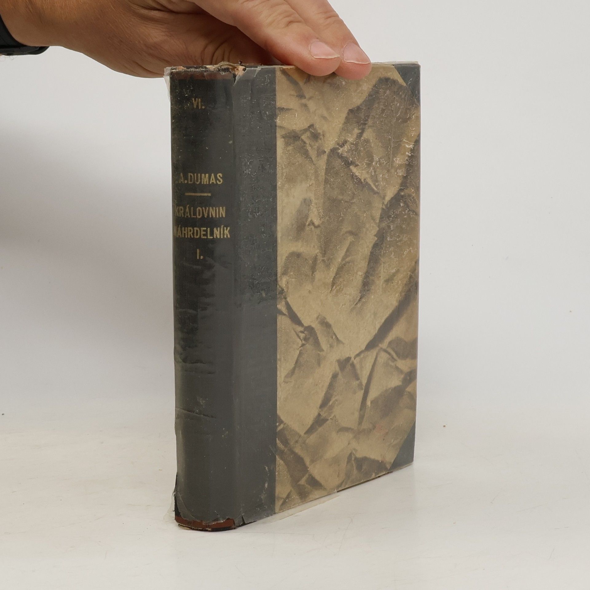 Alexandre Dumas starší Spisy Alex. Dumasa VI.