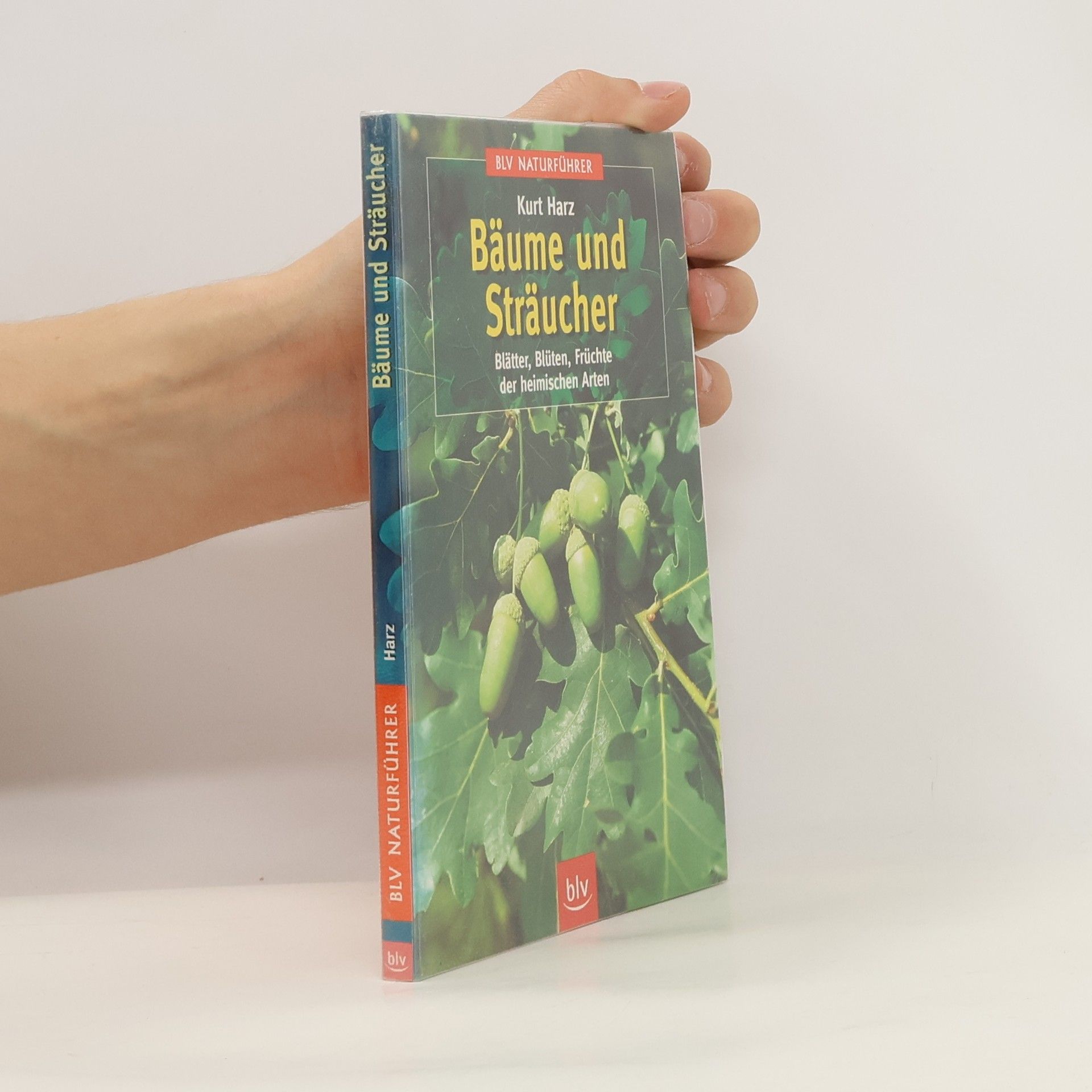 Bäume und Sträucher