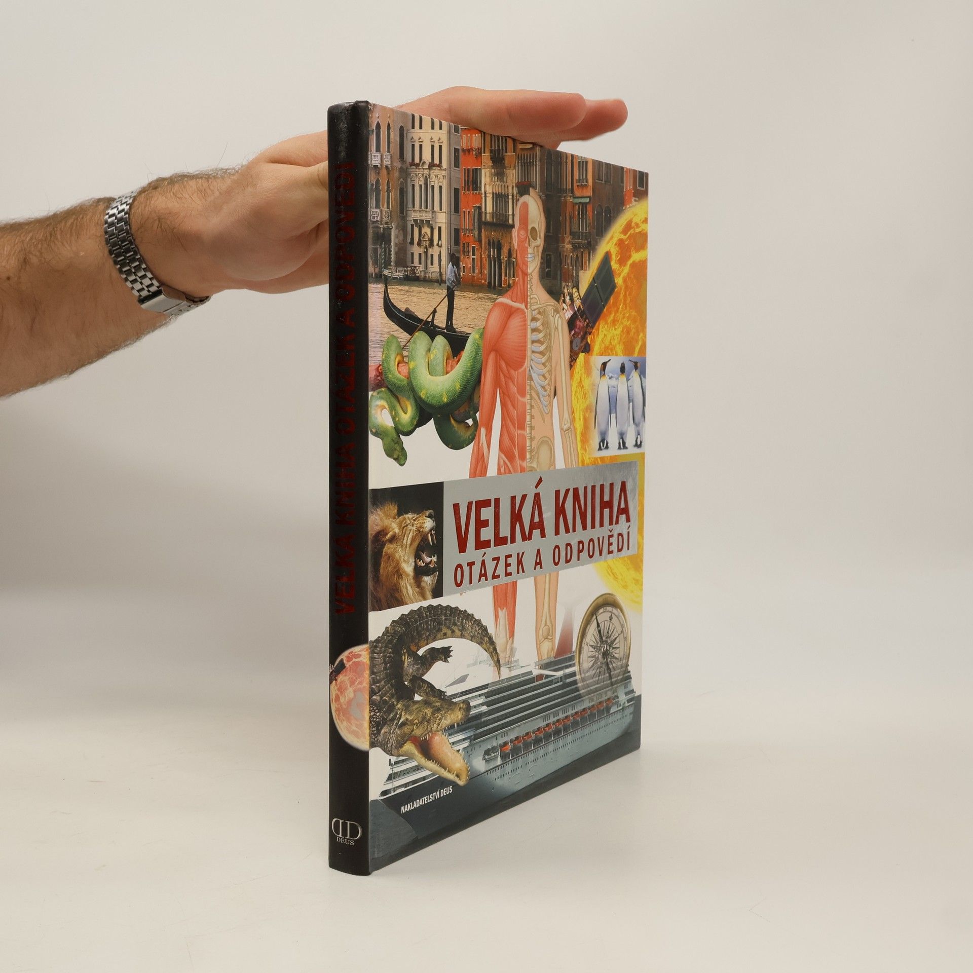 Autorenkollektiv Velká kniha otázek a odpovědí