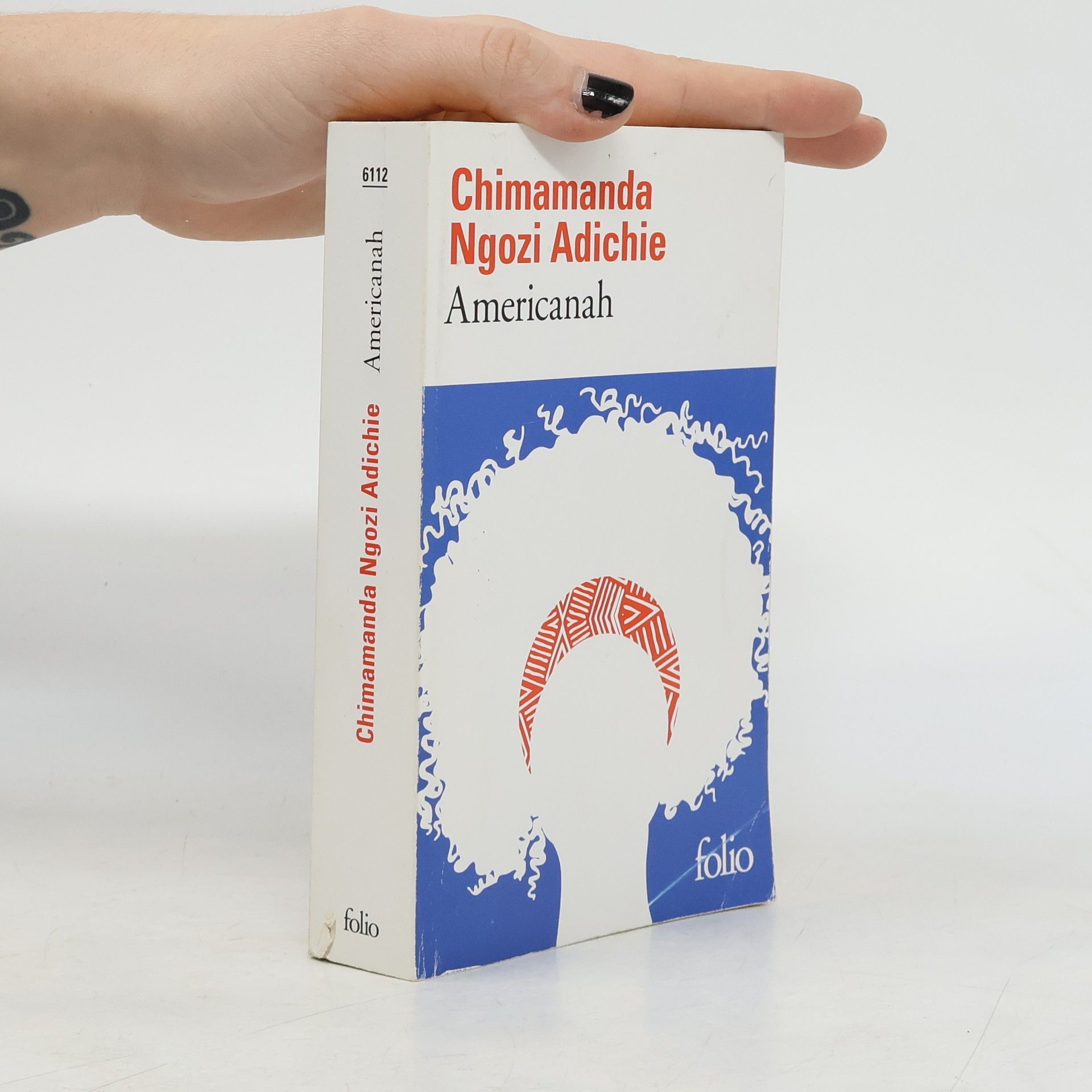 Chimamanda Ngozi Adichie Americanah