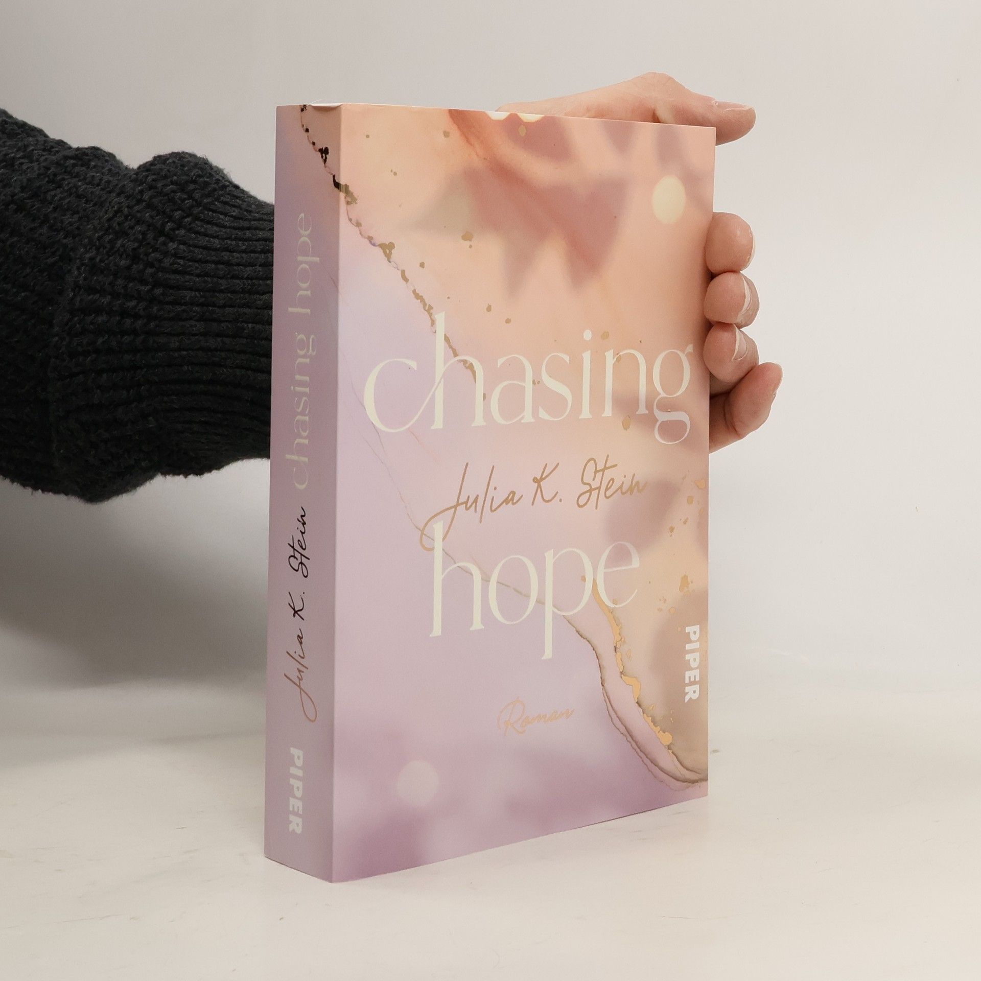 Julia K. Stein Chasing Hope