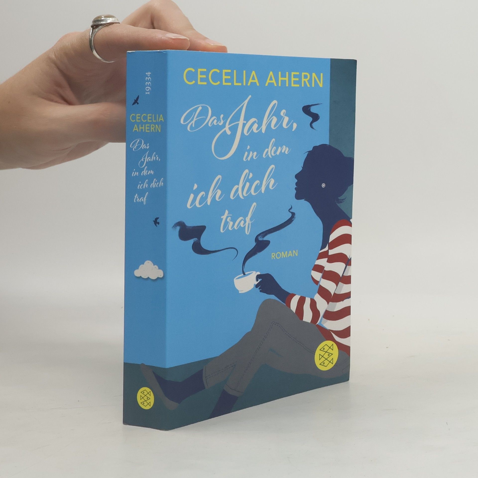 Cecelia Ahern Das Jahr, in dem ich dich traf