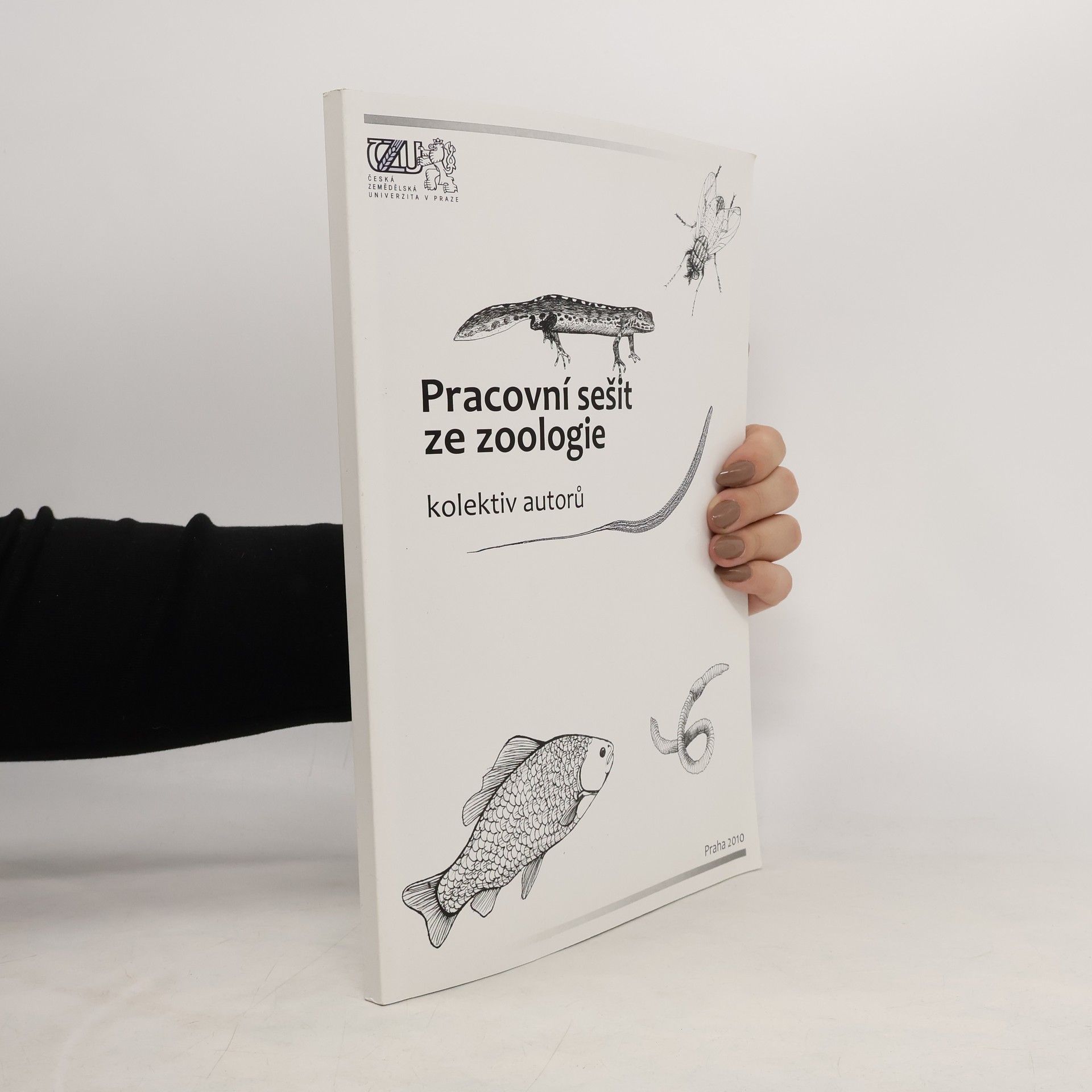 Kolektiv autorů Pracovní sešit ze zoologie