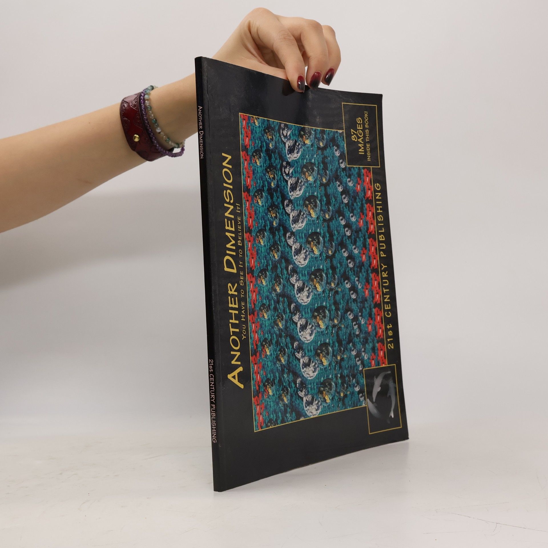 Steve Perry Another Dimension