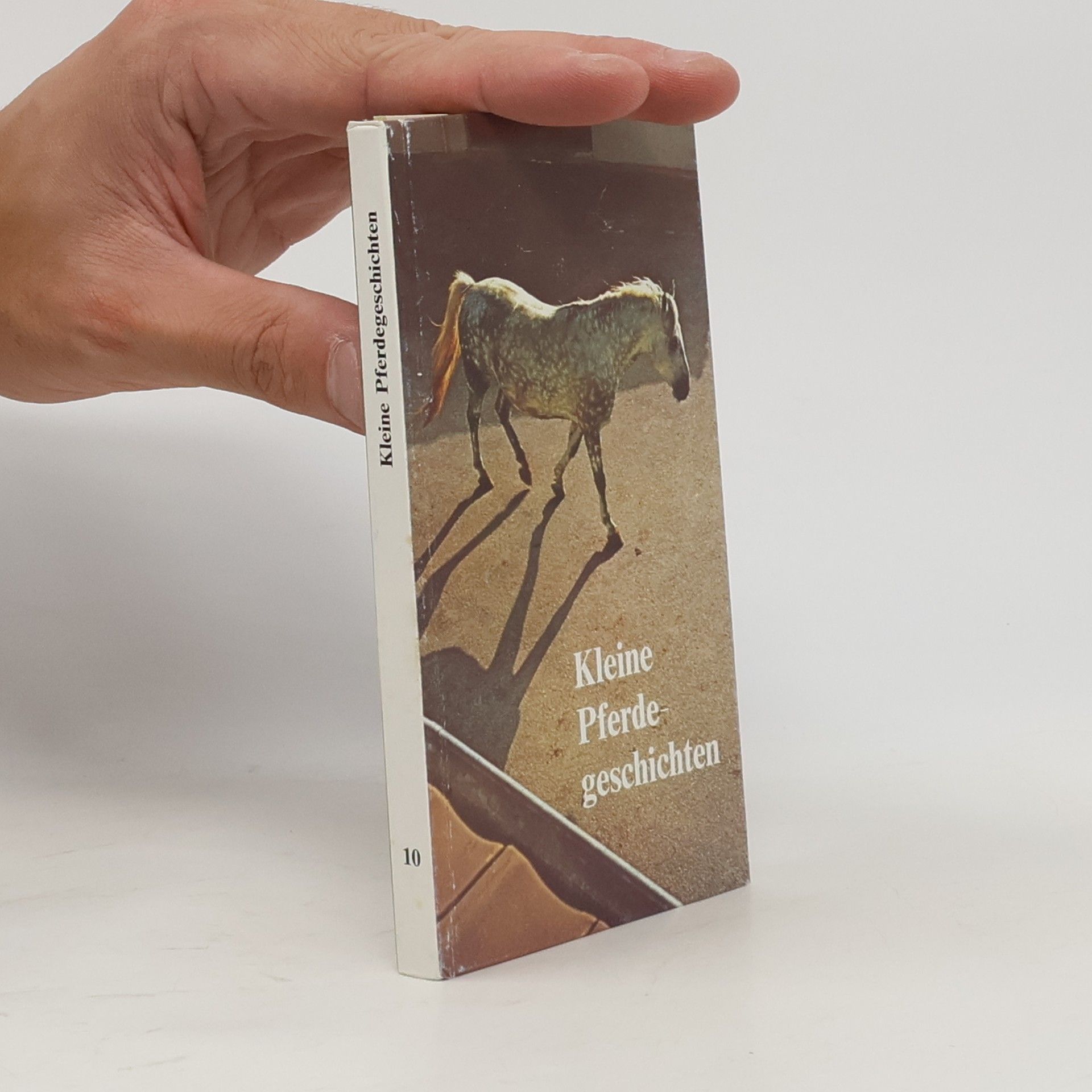 Collectif d'auteurs Kleine Pferdegeschichten 10