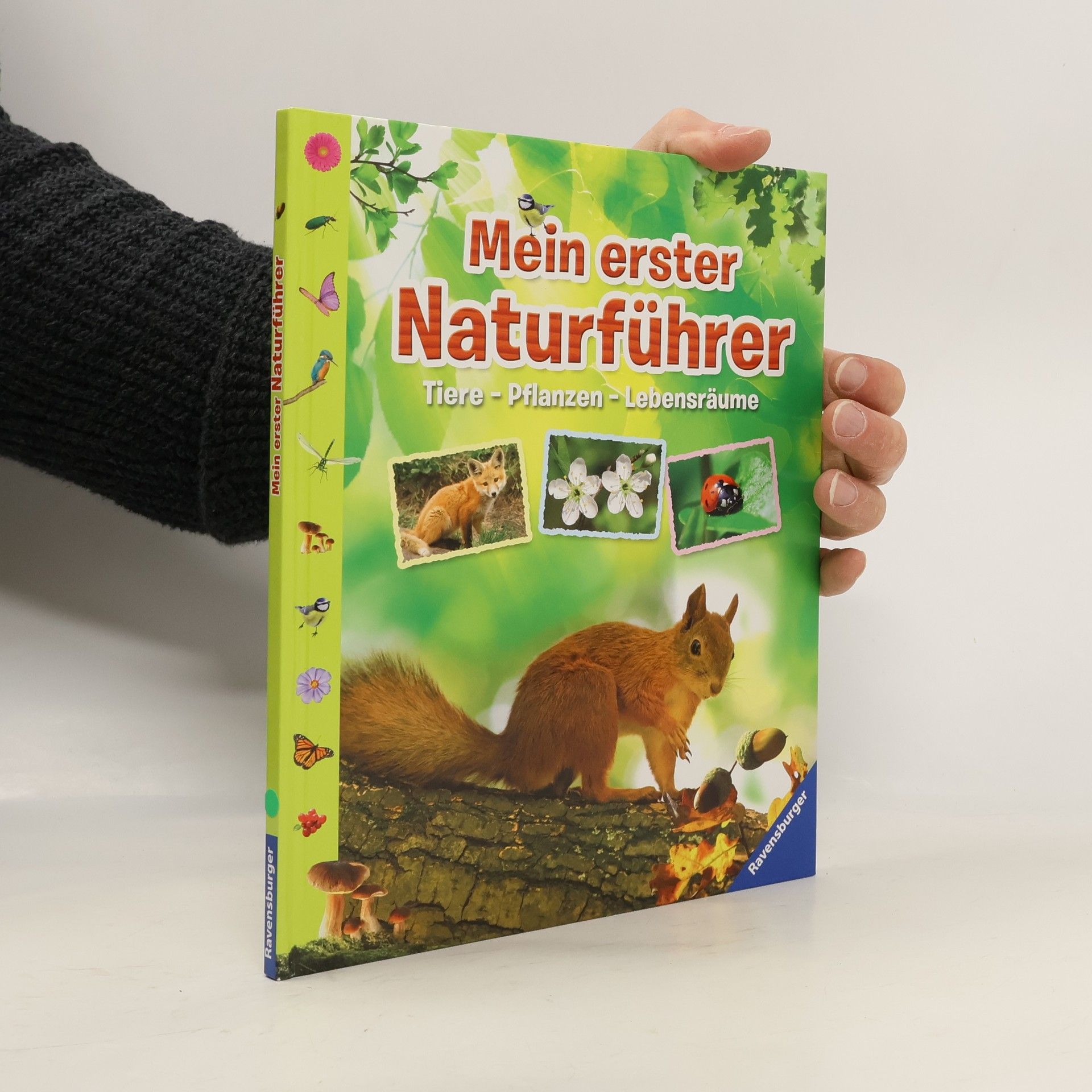 Angelika Lenz Mein erster Naturführer