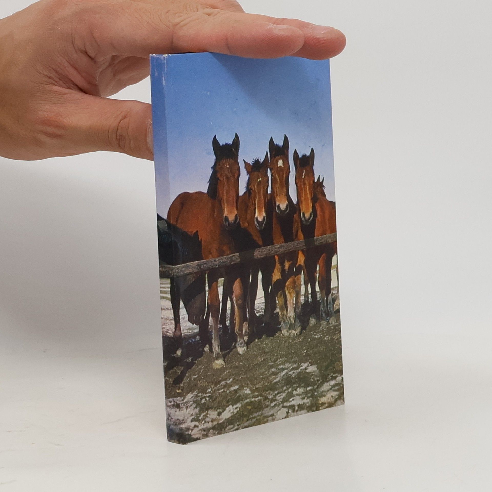 Kleine Pferdegeschichten 2