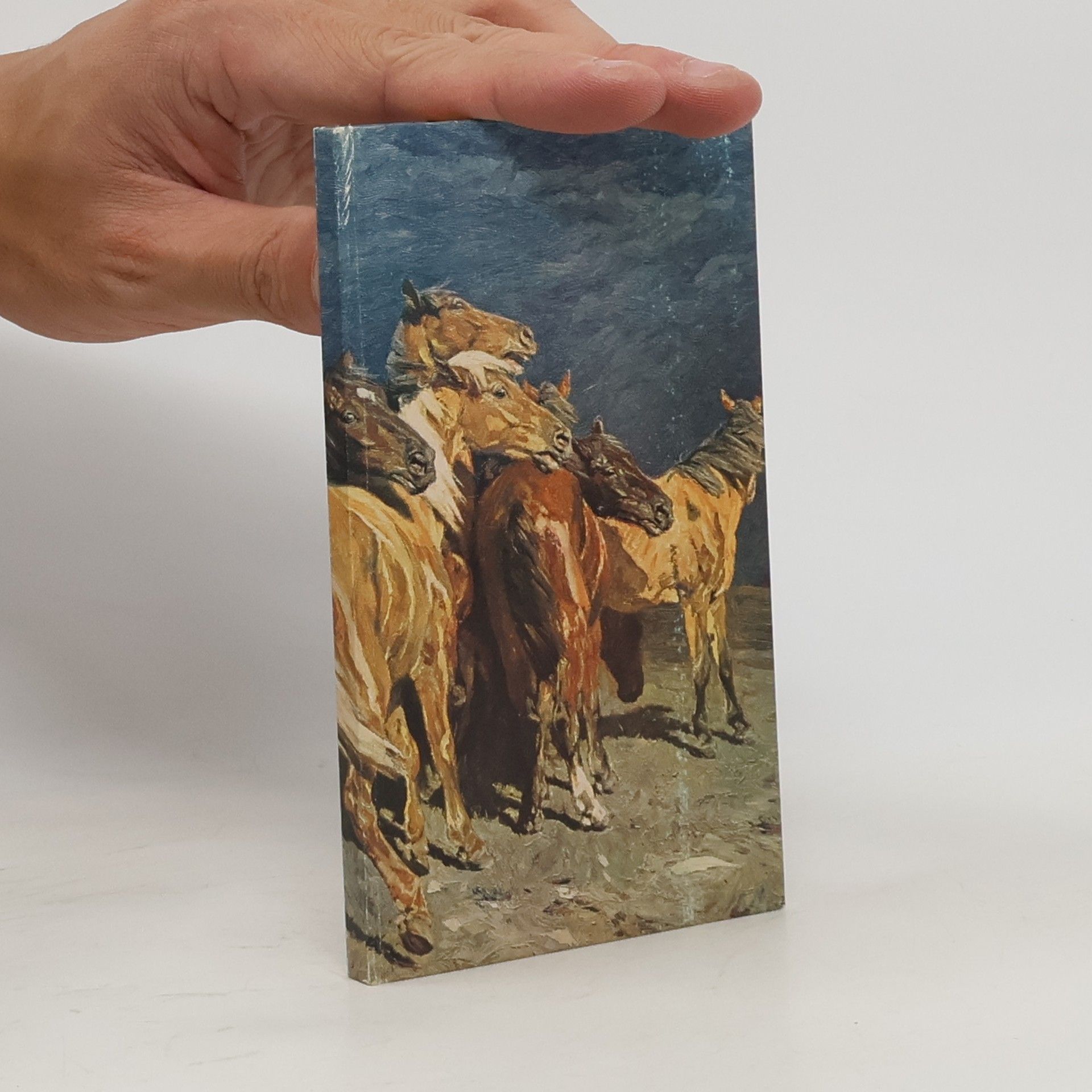 Schwarz Hans Kleine Pferdegeschichten aus grosser Zeit