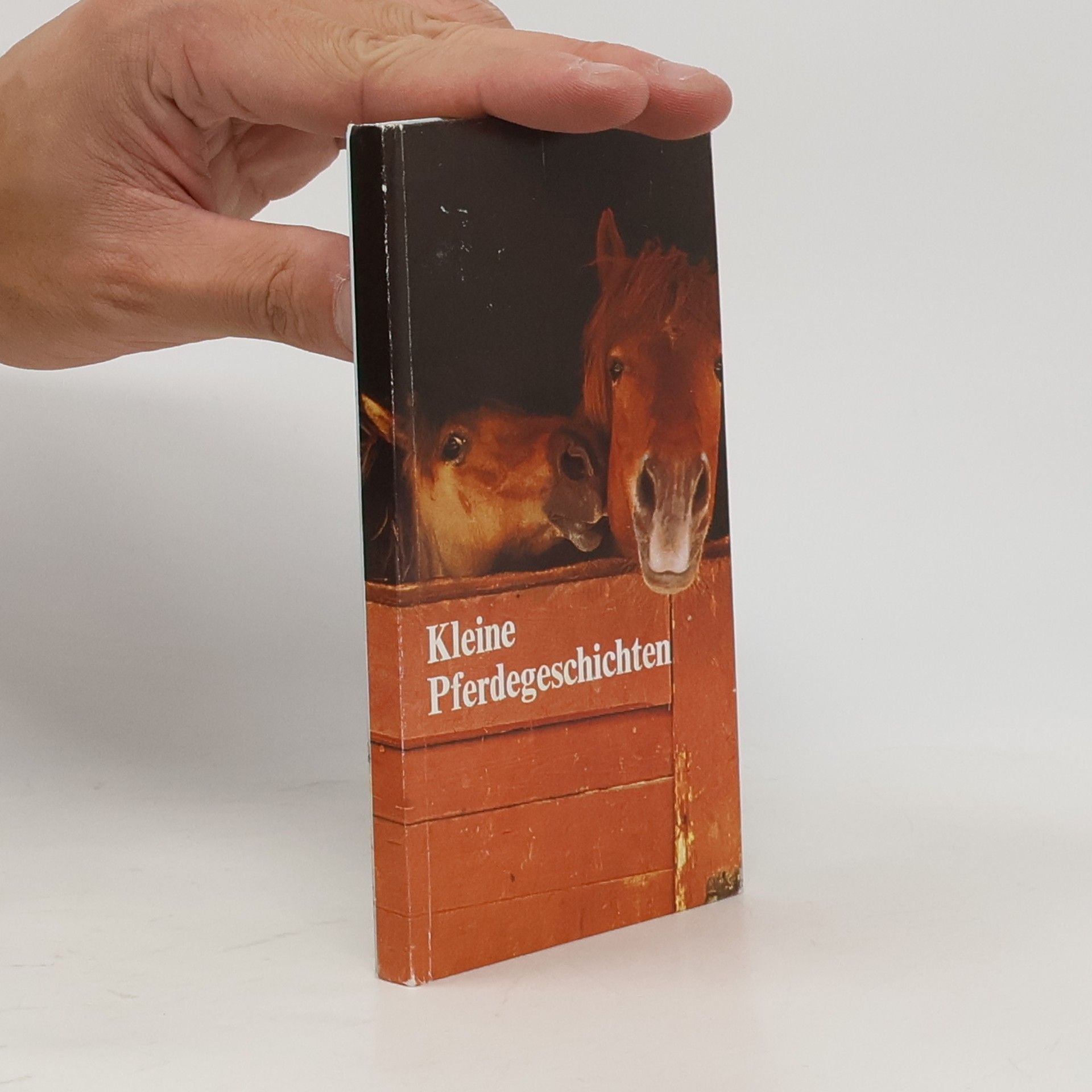 Collectif d'auteurs Kleine Pferdegeschichten
