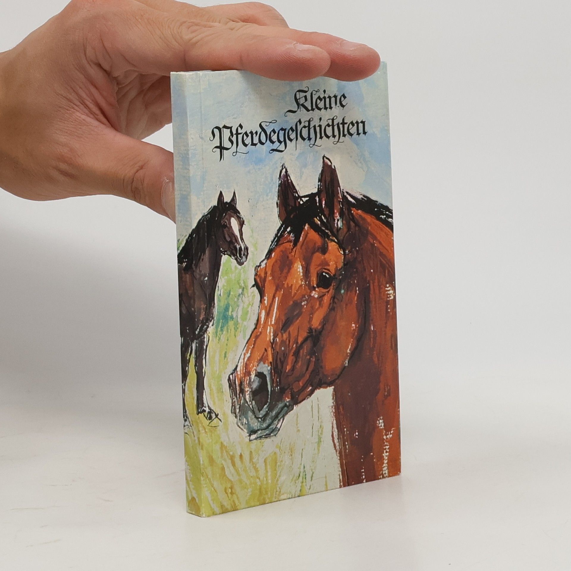 Collectif d'auteurs Kleine Pferdegeschichten