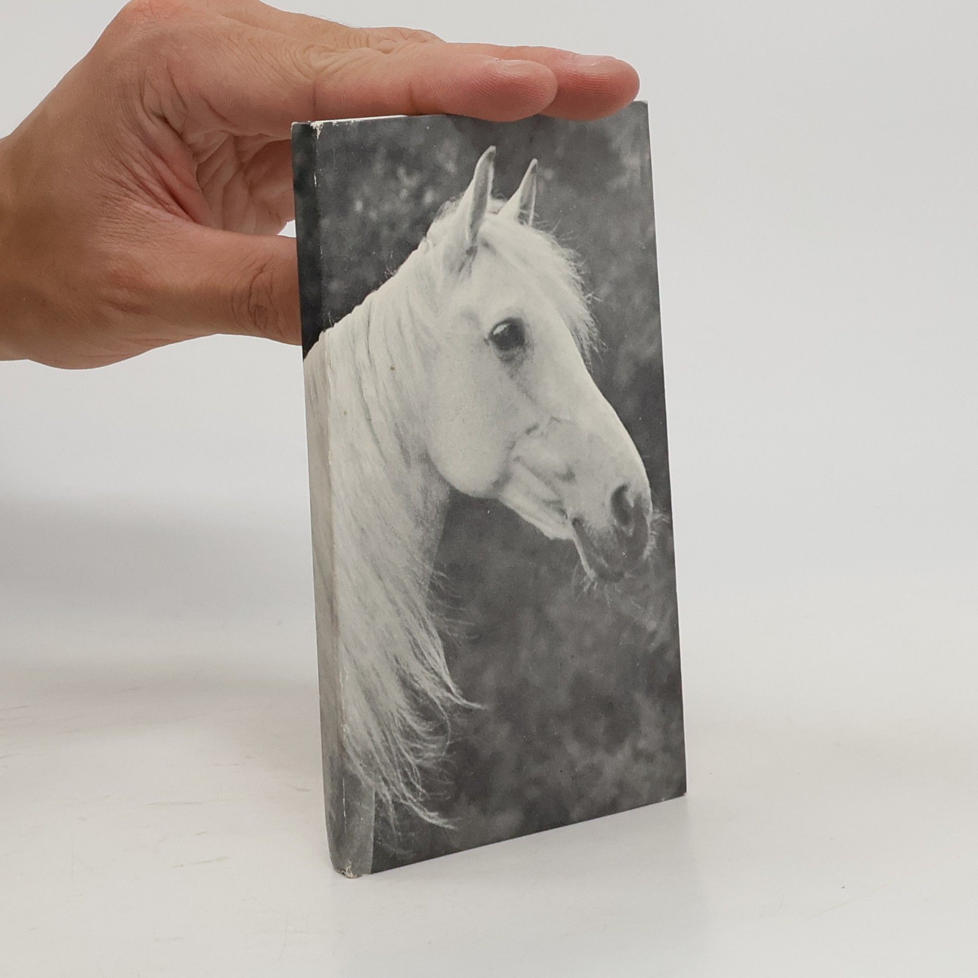 Schwarz Hans Kleine Pferdegeschichten 4