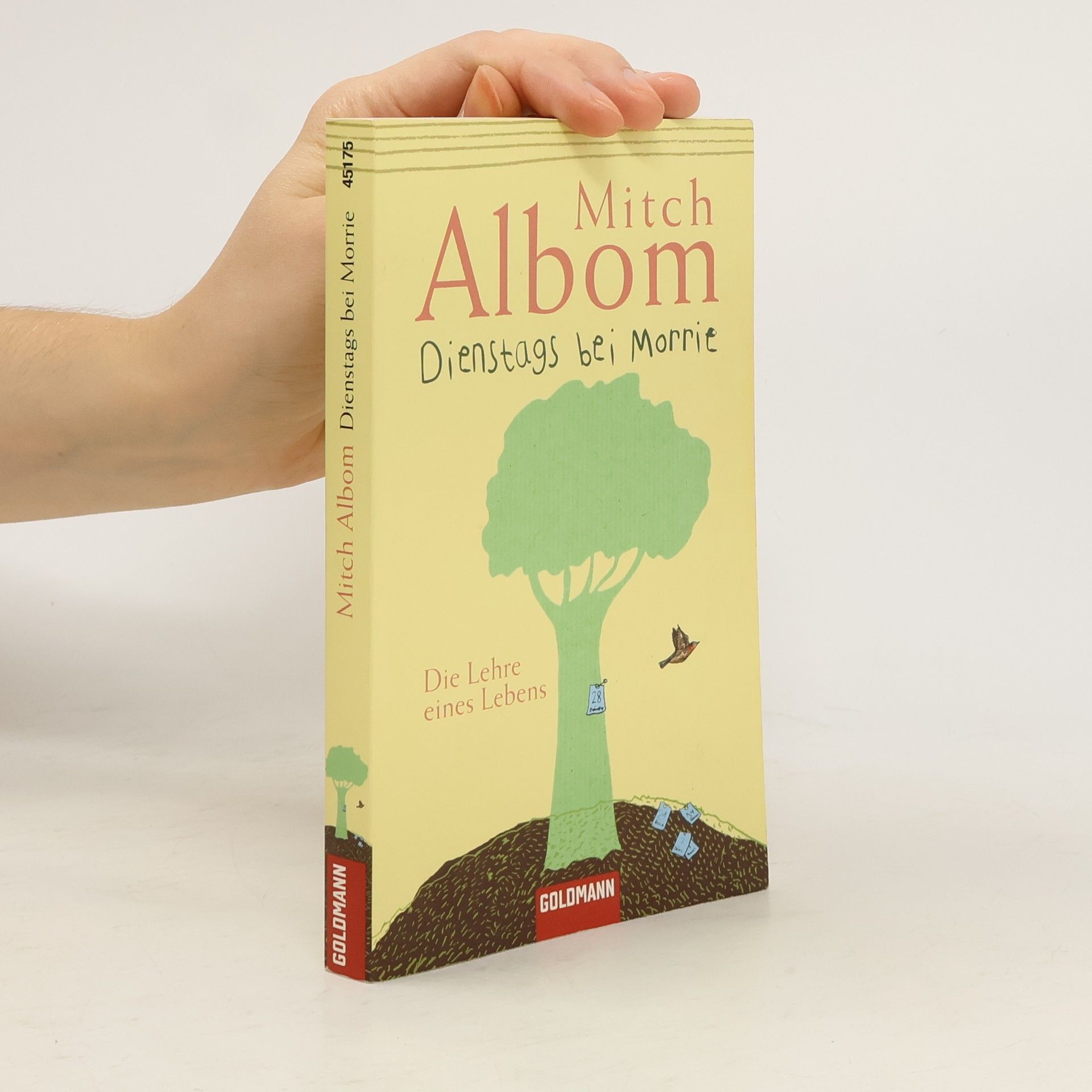 Mitch Albom Dienstags bei Morrie