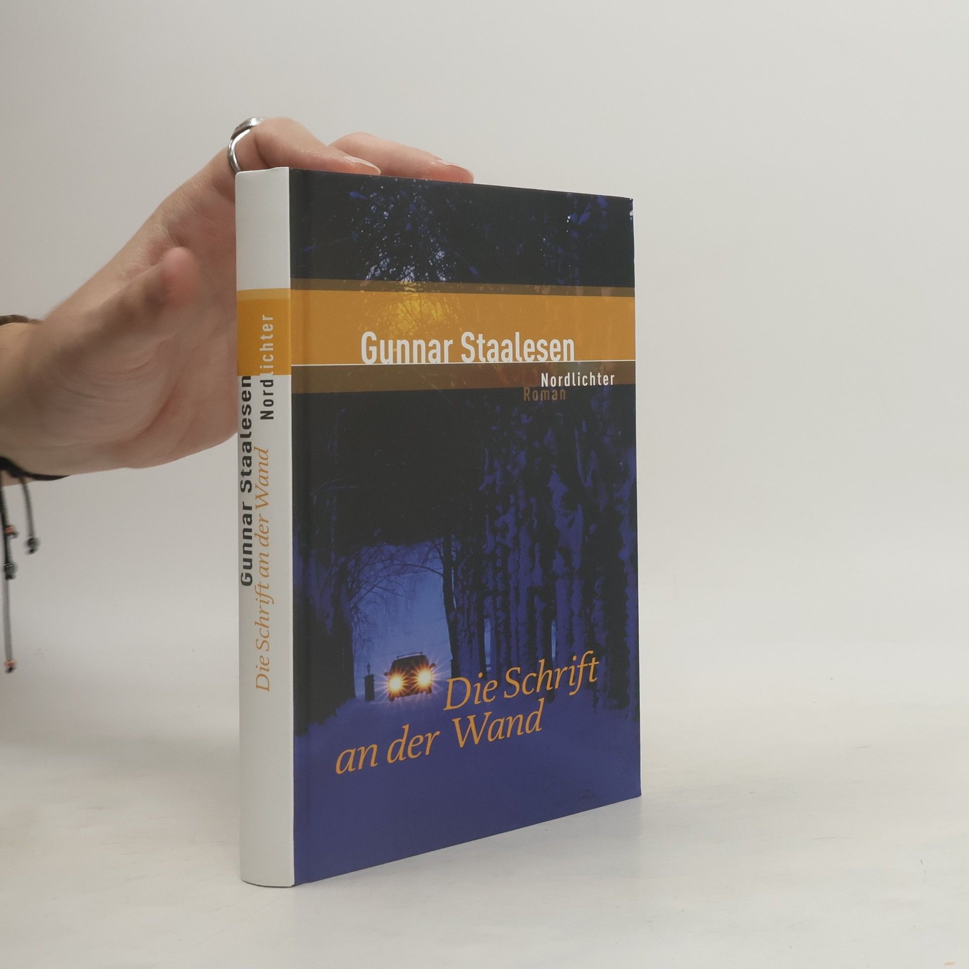 Gunnar Staalesen Die Schrift an der Wand