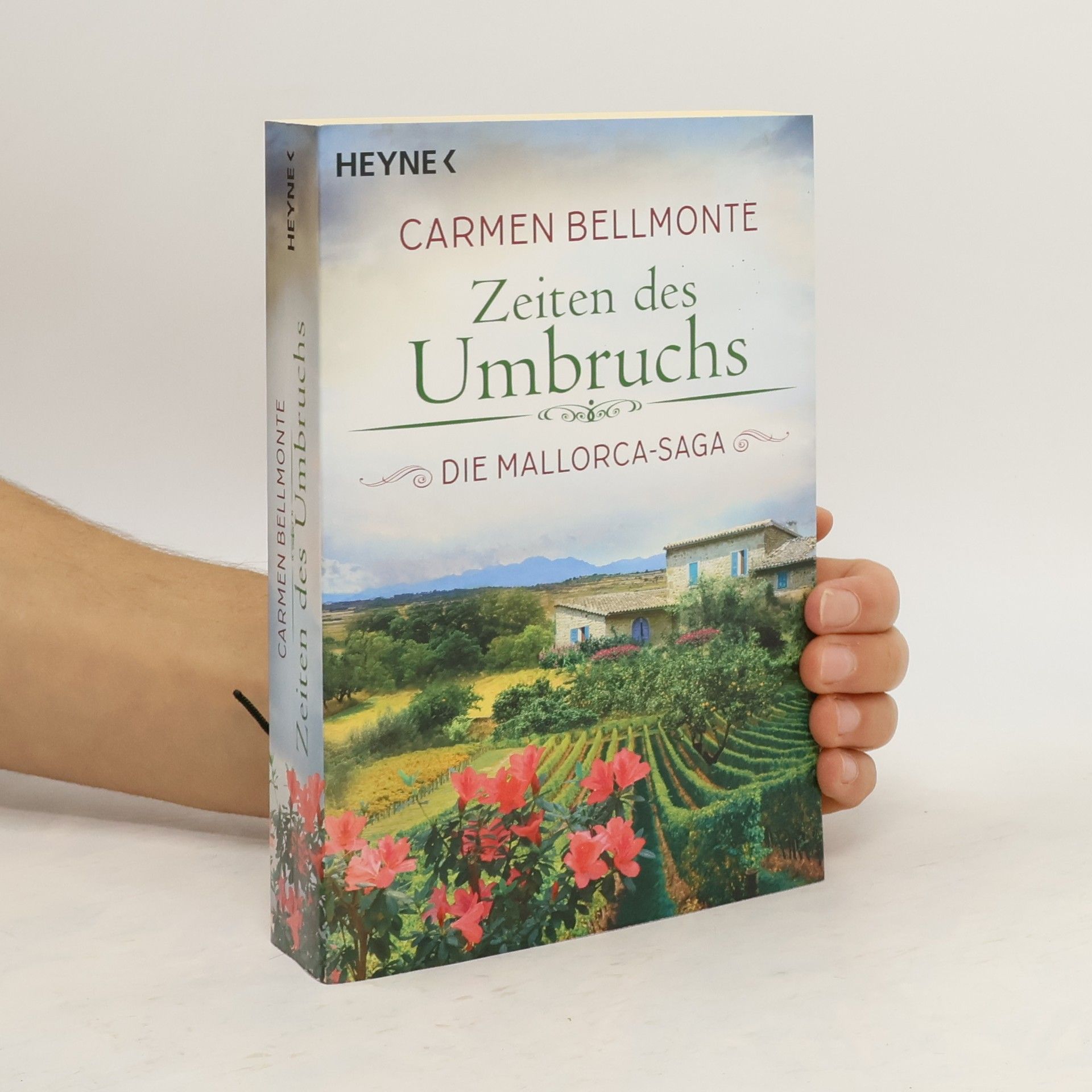 Carmen Bellmonte Zeiten des Umbruchs