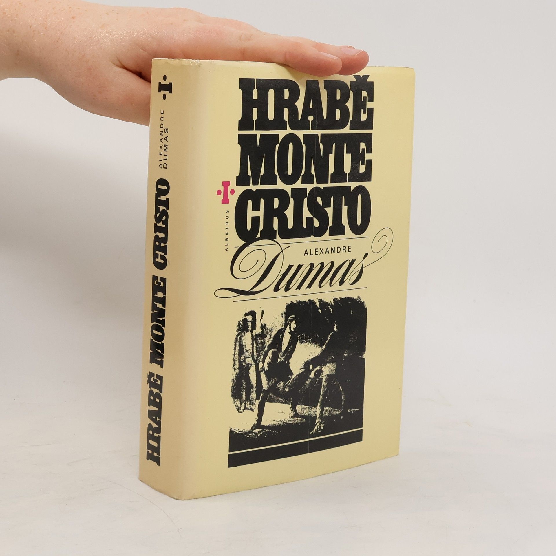 Hrabě Monte Cristo I