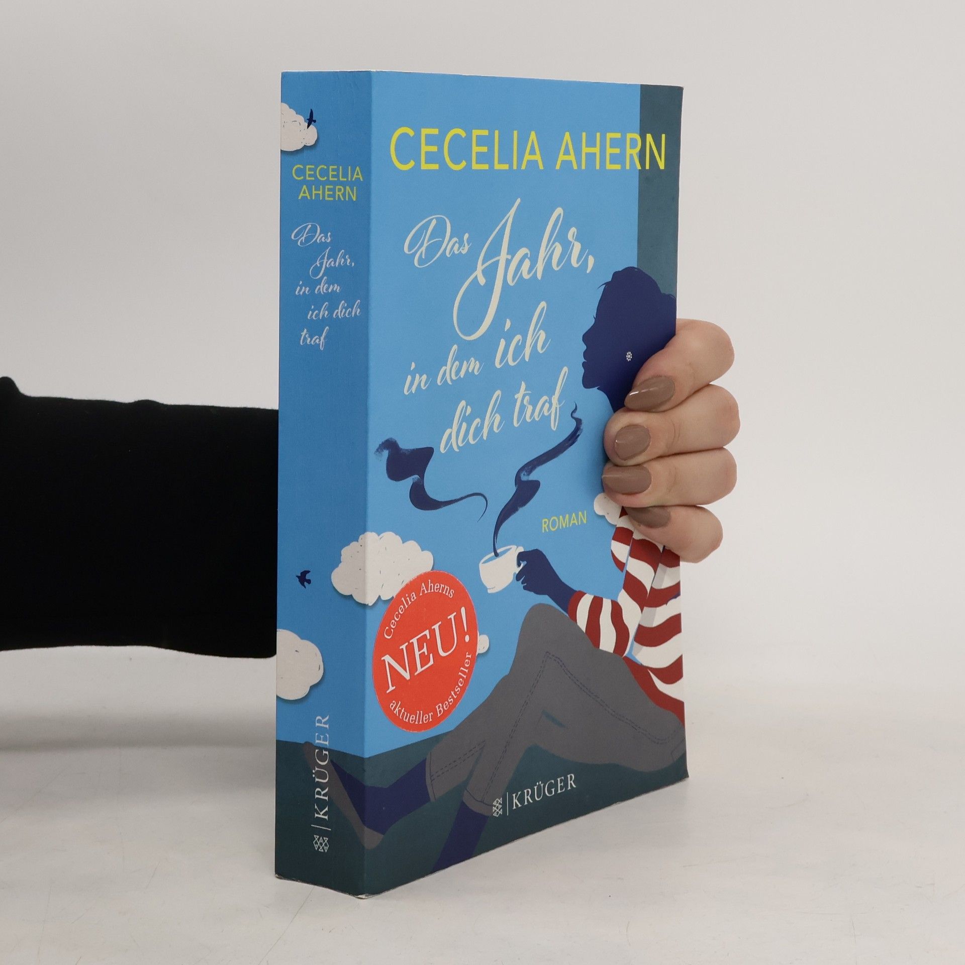 Cecelia Ahern Das Jahr, in dem ich dich traf