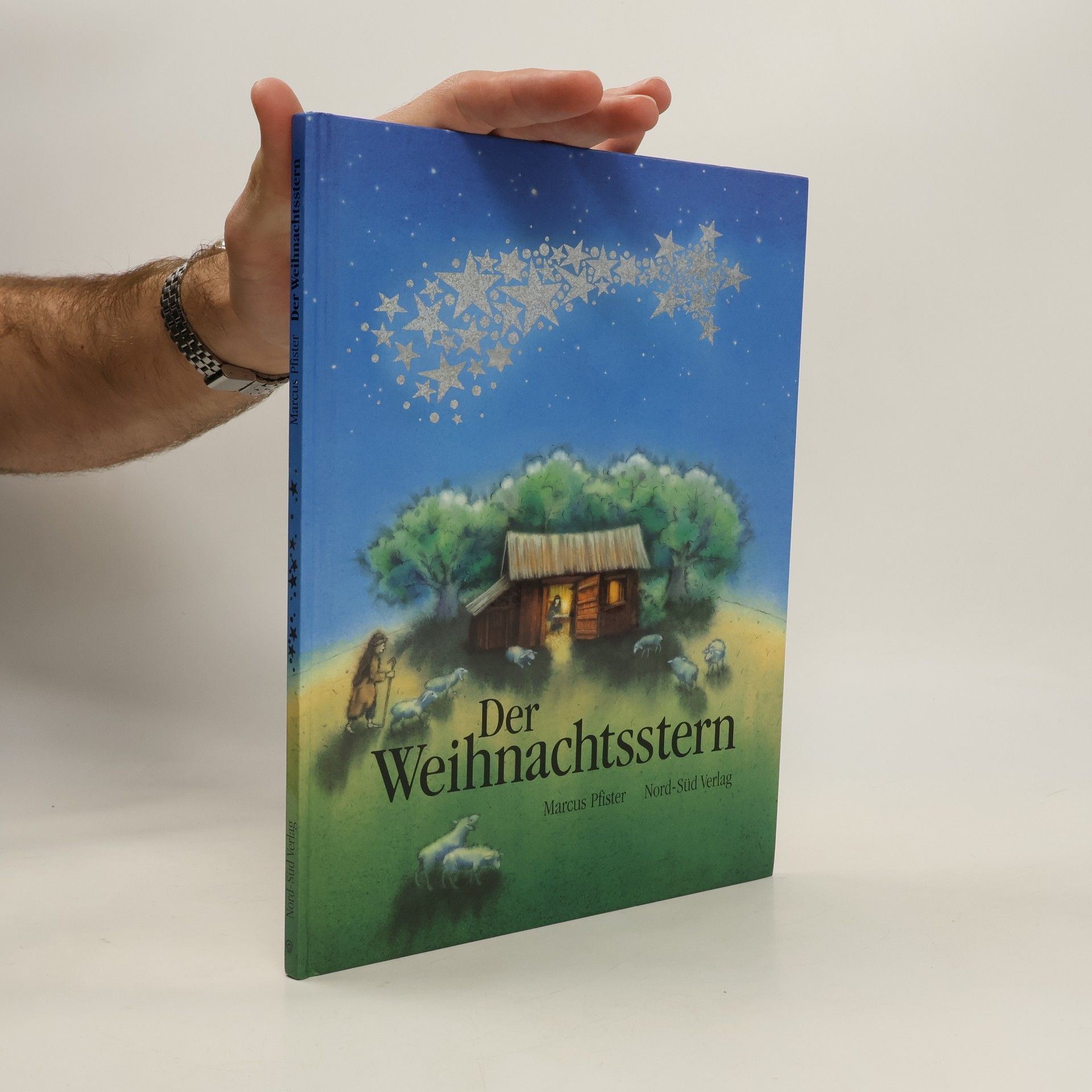 Marcus Pfister Der Weihnachtsstern