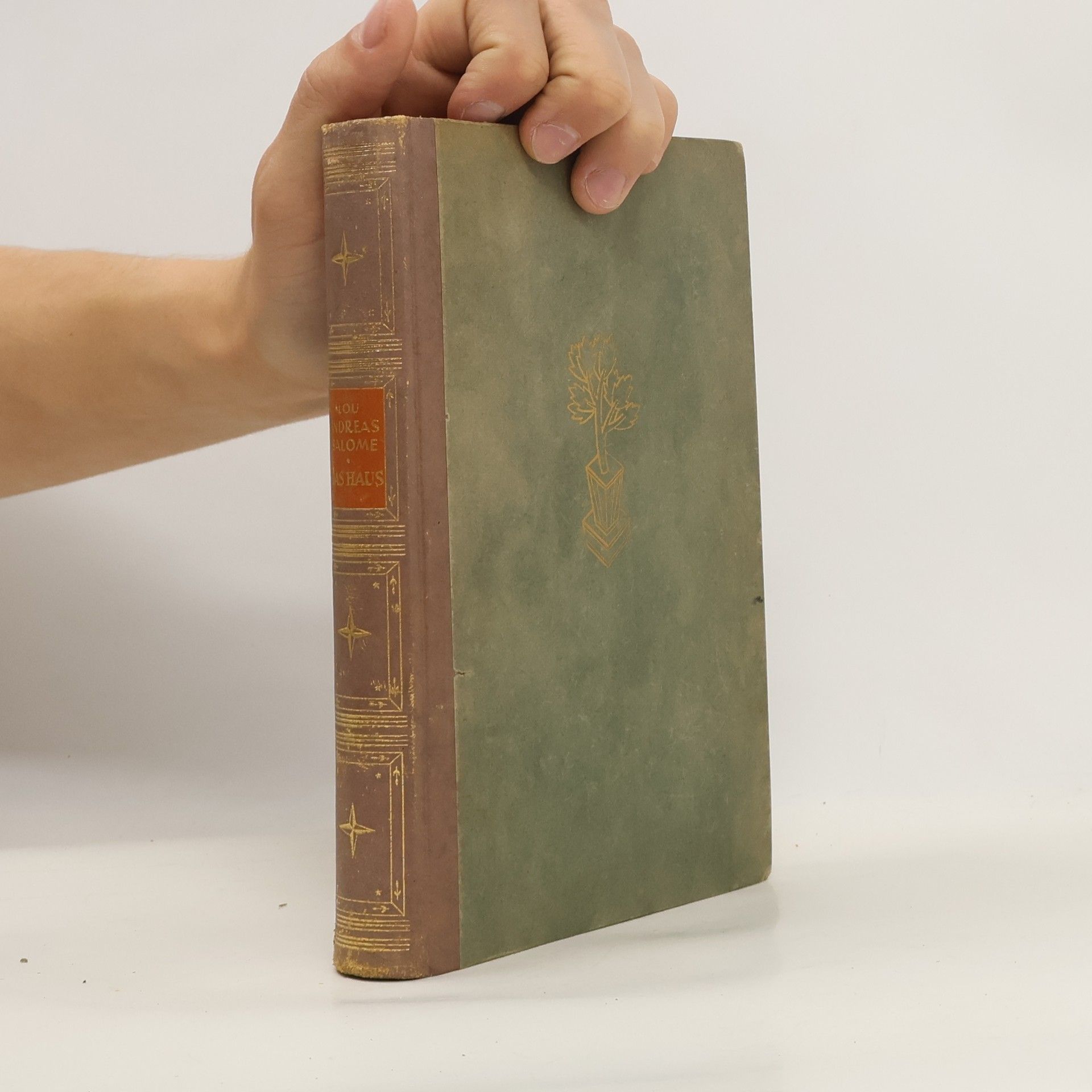 Lou Andreas Salomé Das Haus