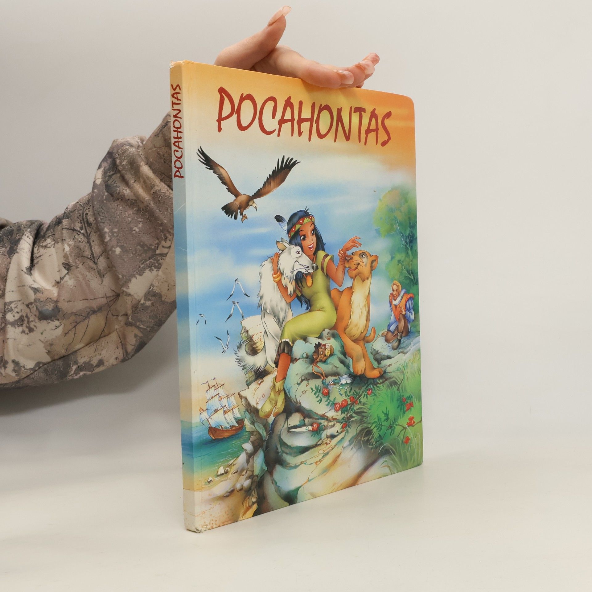 Autorenkollektiv Pocahontas